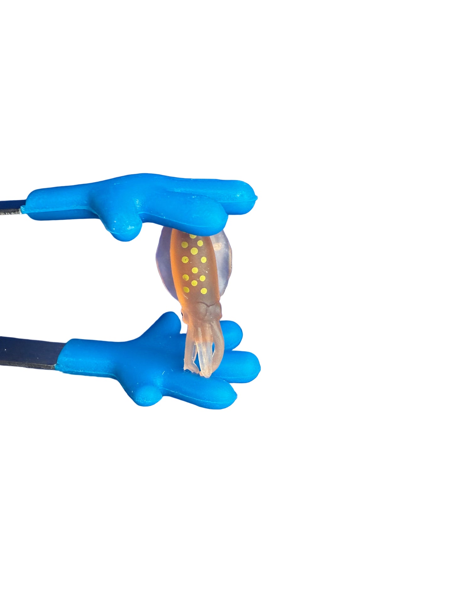 Miniature SQUID Figurine OCEAN minis Fairy Garden, Terrarium, Diorama, Trinkets for S blends