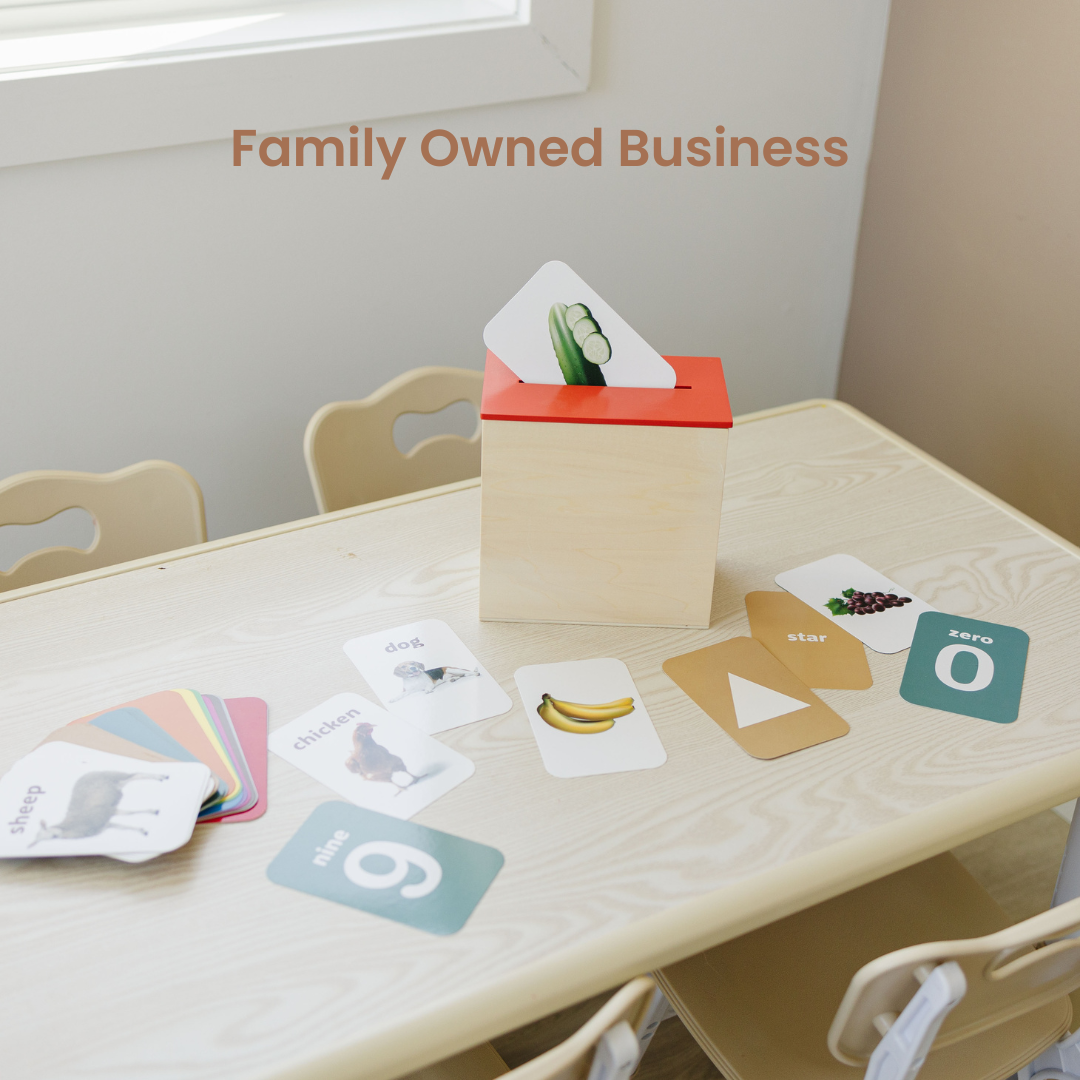 Preschool Concept Activity Learn & Drop Box with Cards