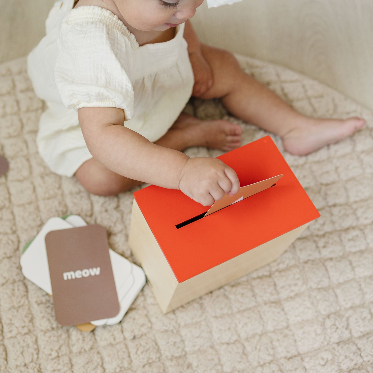 Preschool Concept Activity Learn & Drop Box with Cards