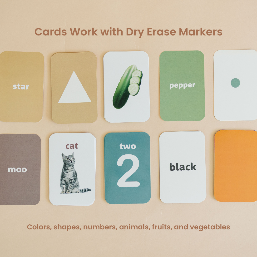 Preschool Concept Activity Learn & Drop Box with Cards