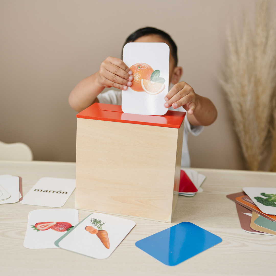 Preschool Concept Activity Learn & Drop Box with Cards