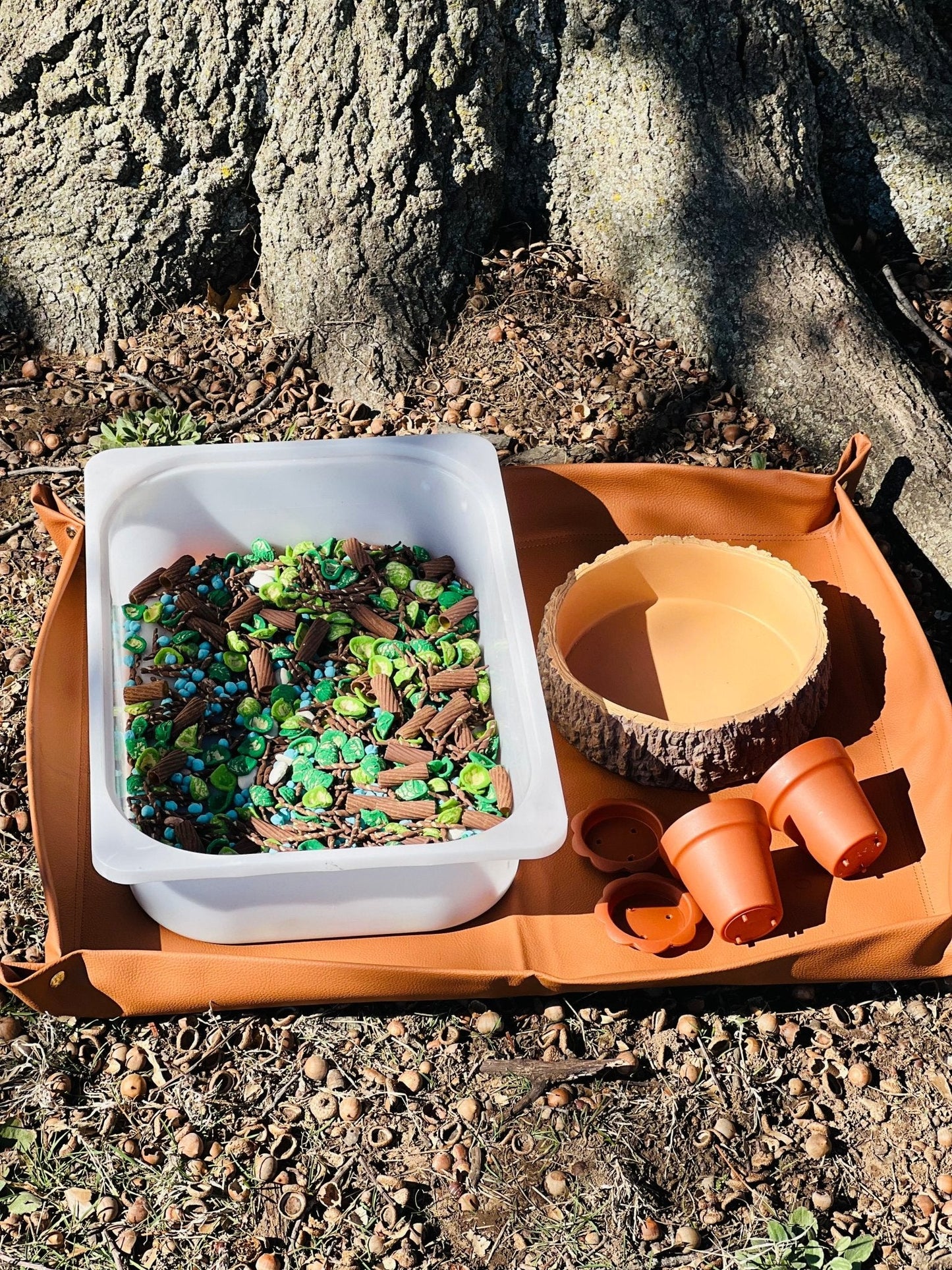 Build a Nest Sensory Bin Filler - Nature theme Play Bird Set up