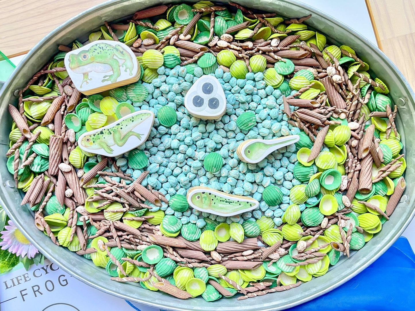 Build a Nest Sensory Bin Filler - Nature theme Play Bird Set up