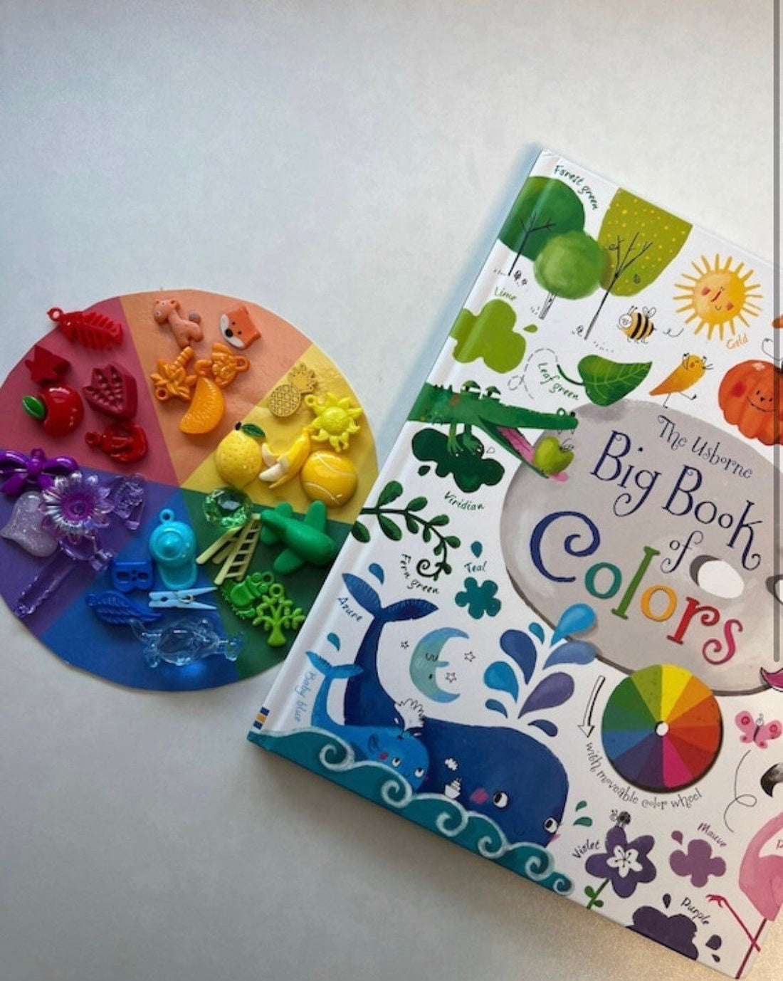 Color Wheel- PRINTABLE Color Wheel for Sorting- – Speech and Smile