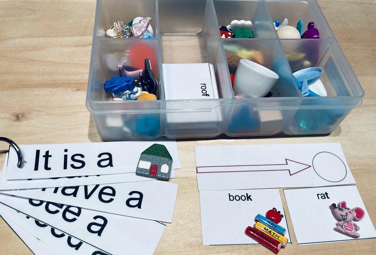 Final Sound Objects for Speech Therapy-CVC words Phonology Mini Object ...