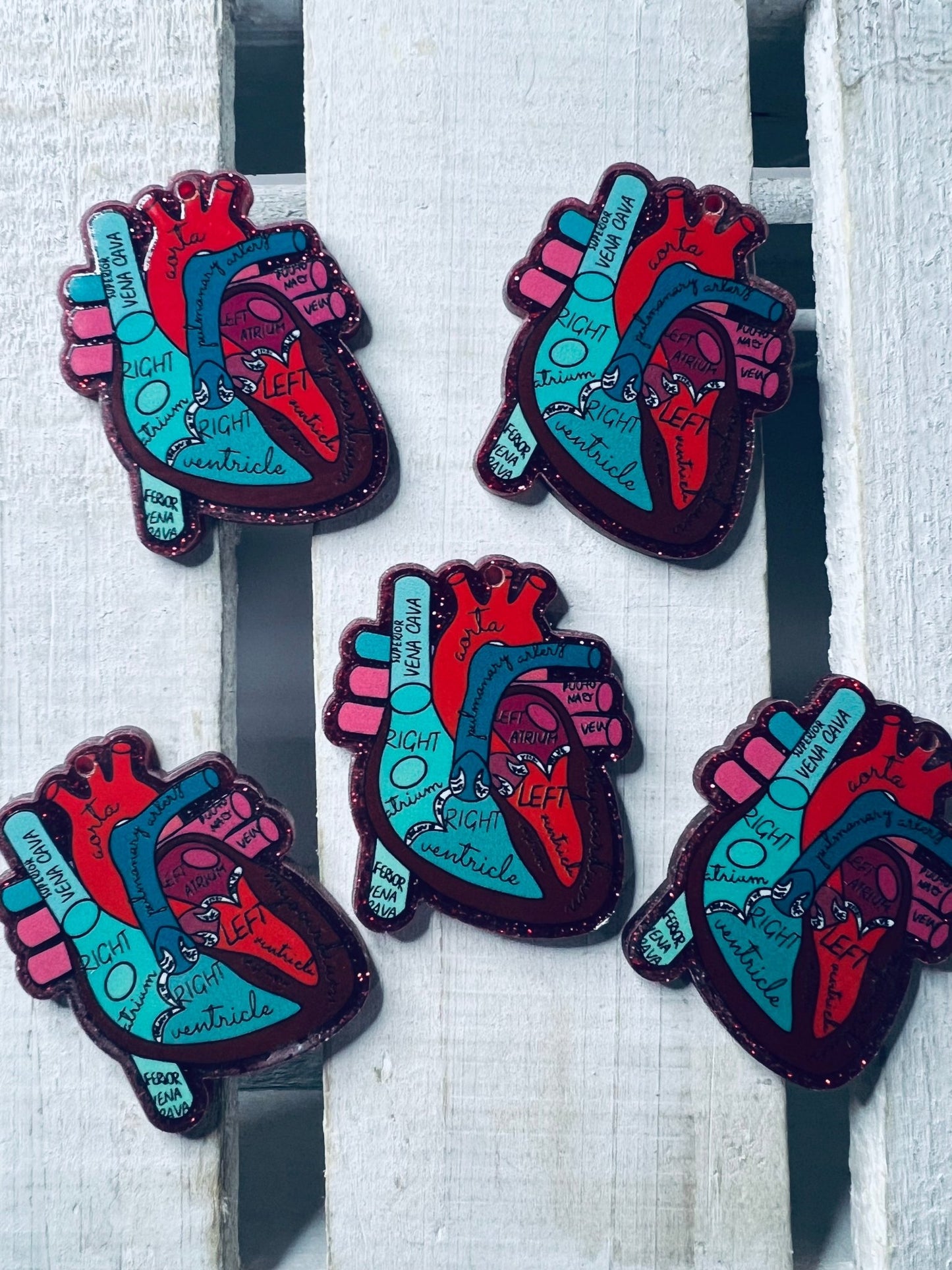 Heart Anatomy Trinket Anatomical Heart model miniature Medical SLP Mini Objects Heart Model - Speech and Smile
