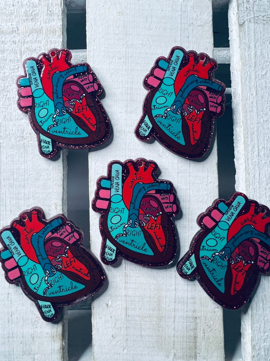 Heart Anatomy Trinket Anatomical Heart model miniature Medical SLP Mini Objects Heart Model - Speech and Smile