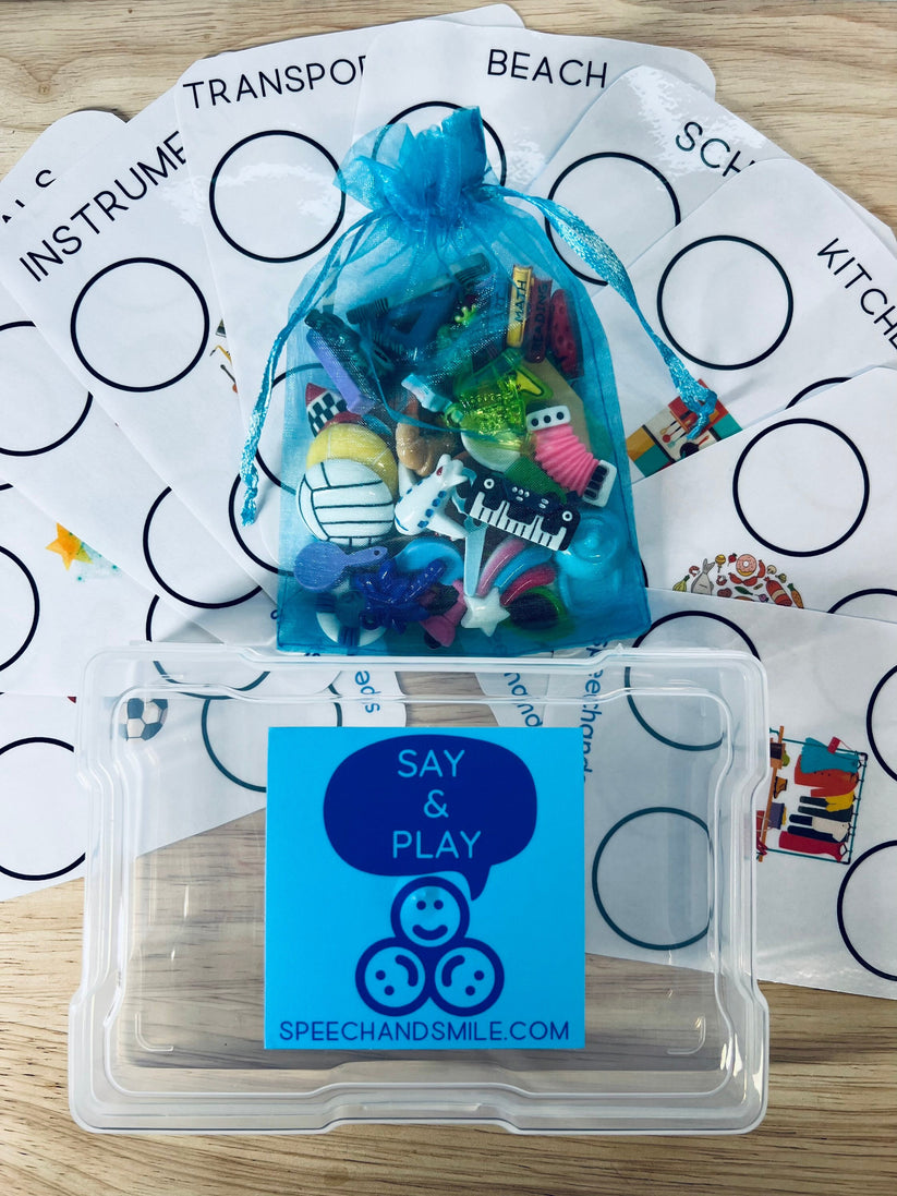 Sorting Task Box with Mini Objects Speech Therapy Activity Box Languag ...