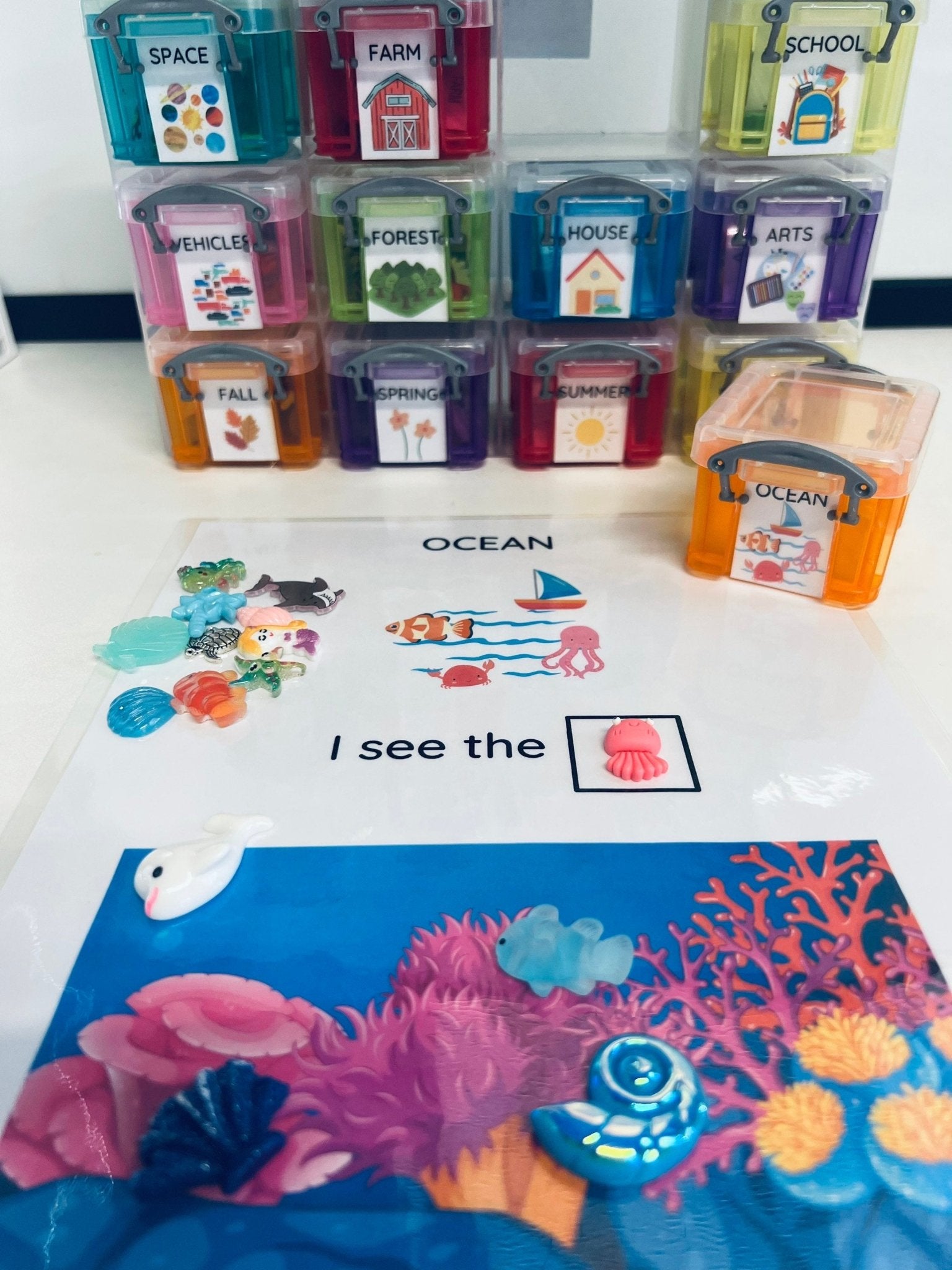INDIVIDUAL Theme Mini Object Boxes - Pick a Theme - Speech and Smile