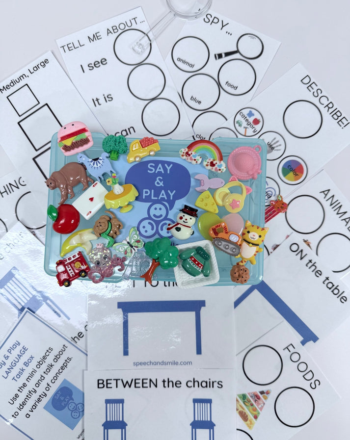 LANGUAGE Task Box with Mini Objects Speech Therapy Activity Box Langua ...