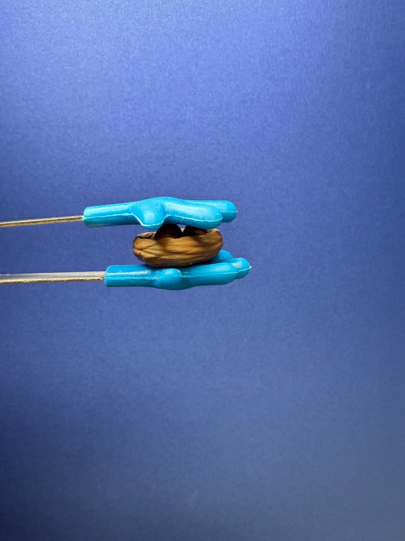 Mini Nest – Mini Object for Speech Therapy & Language Activities | 3D Printed | Talkets™ - Speech and Smile