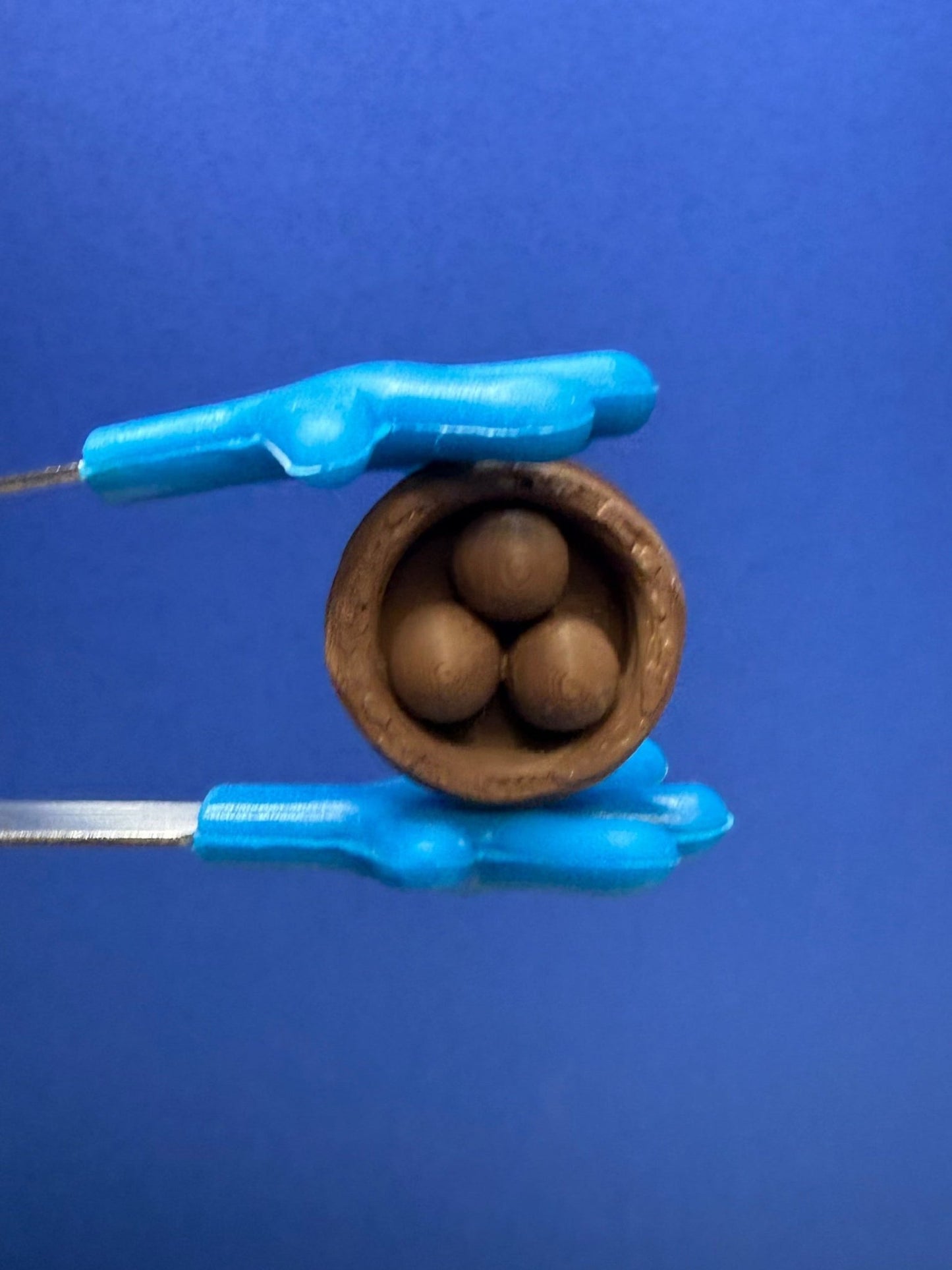 Mini Nest – Mini Object for Speech Therapy & Language Activities | 3D Printed | Talkets™ - Speech and Smile