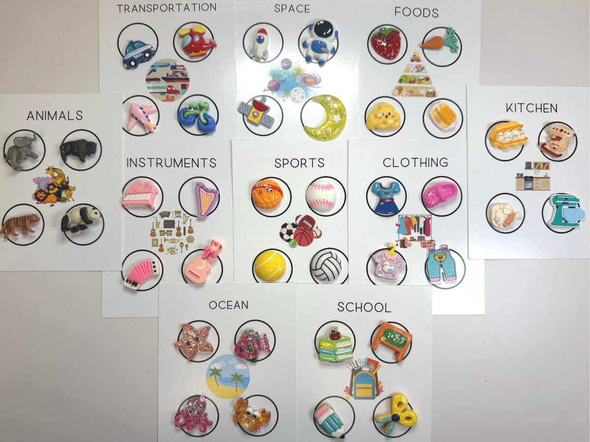 Simple Object Sorting Task Mini Objects for Sorting - Categories Speech Therapy Task Box | Langua ...