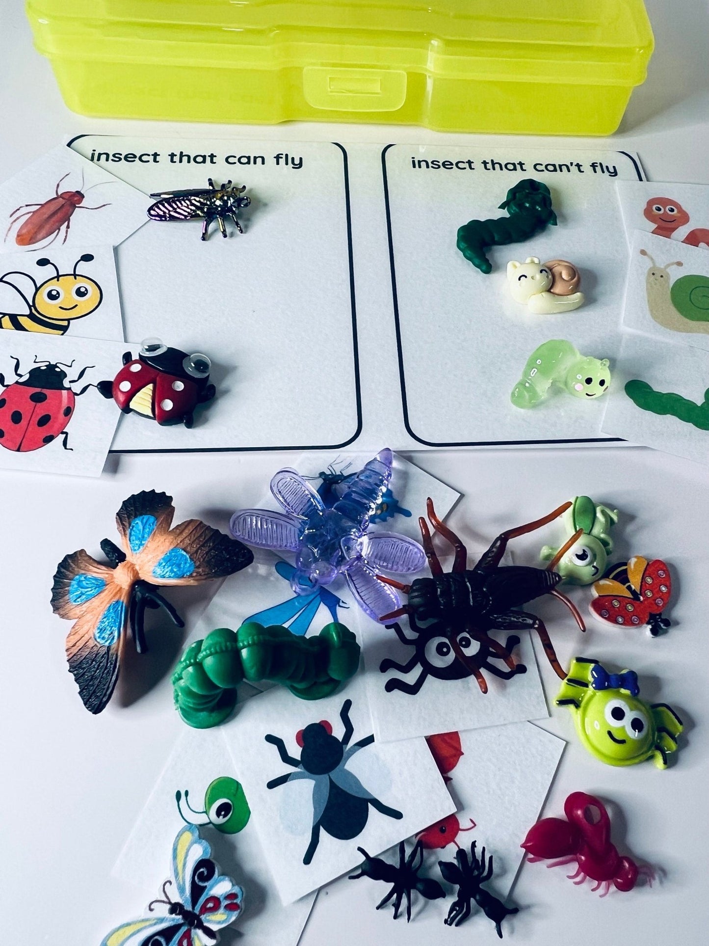 Miniature Bug Sorting Kit - Sorting Insect Objects - Preschool Sorting Task Box - Speech Therapy Mini Objects - Miniature Bug Trinkets - Speech and Smile