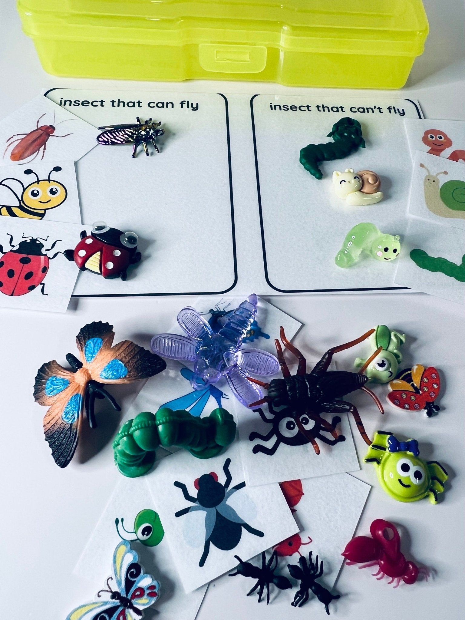 Miniature Bug Sorting Kit - Sorting Insect Objects - Preschool Sorting Task Box - Speech Therapy Mini Objects - Miniature Bug Trinkets - Speech and Smile