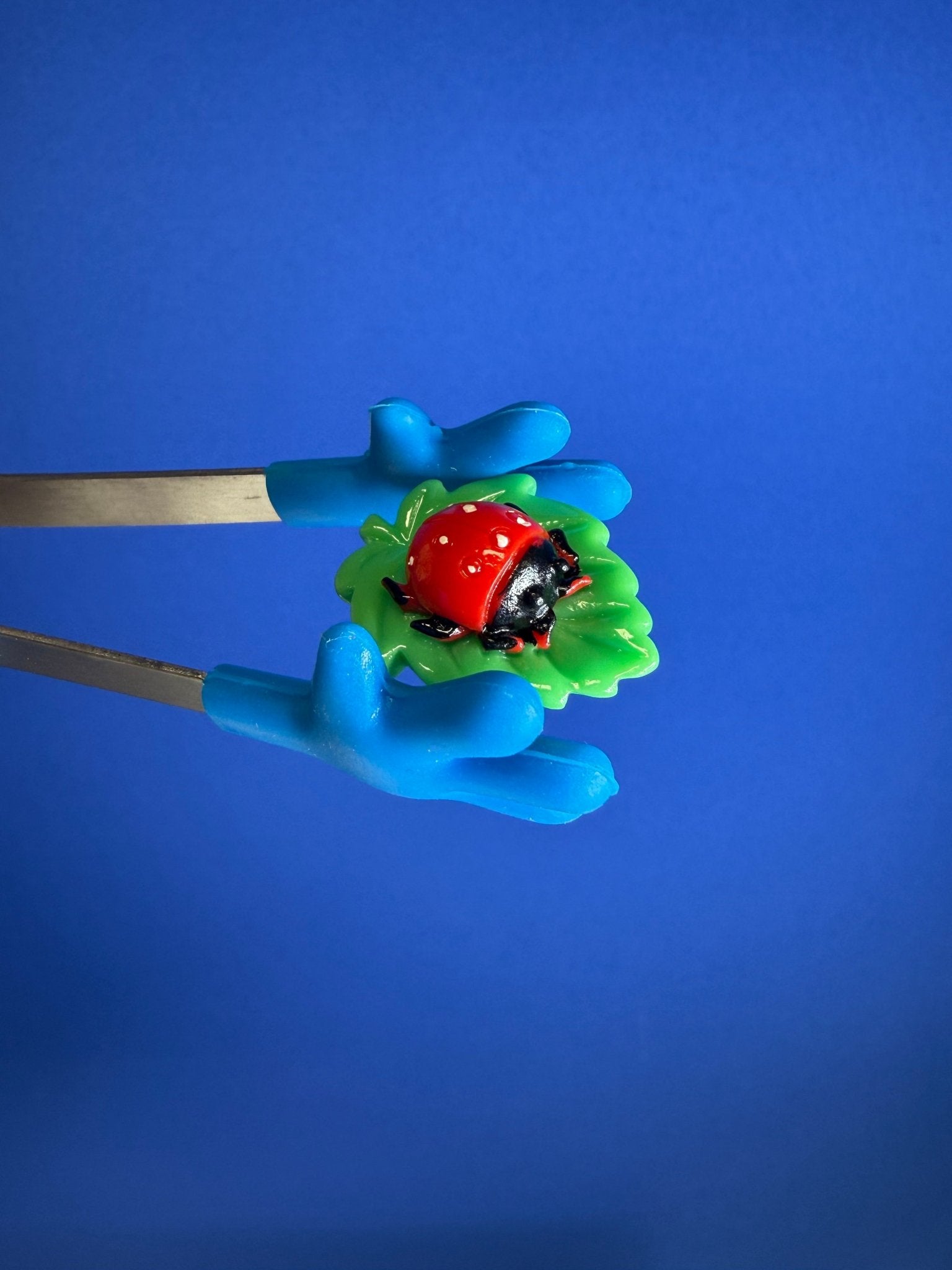 Miniature Ladybug on a Leaf - Bug Theme Minis Speech Therapy - Speech and Smile