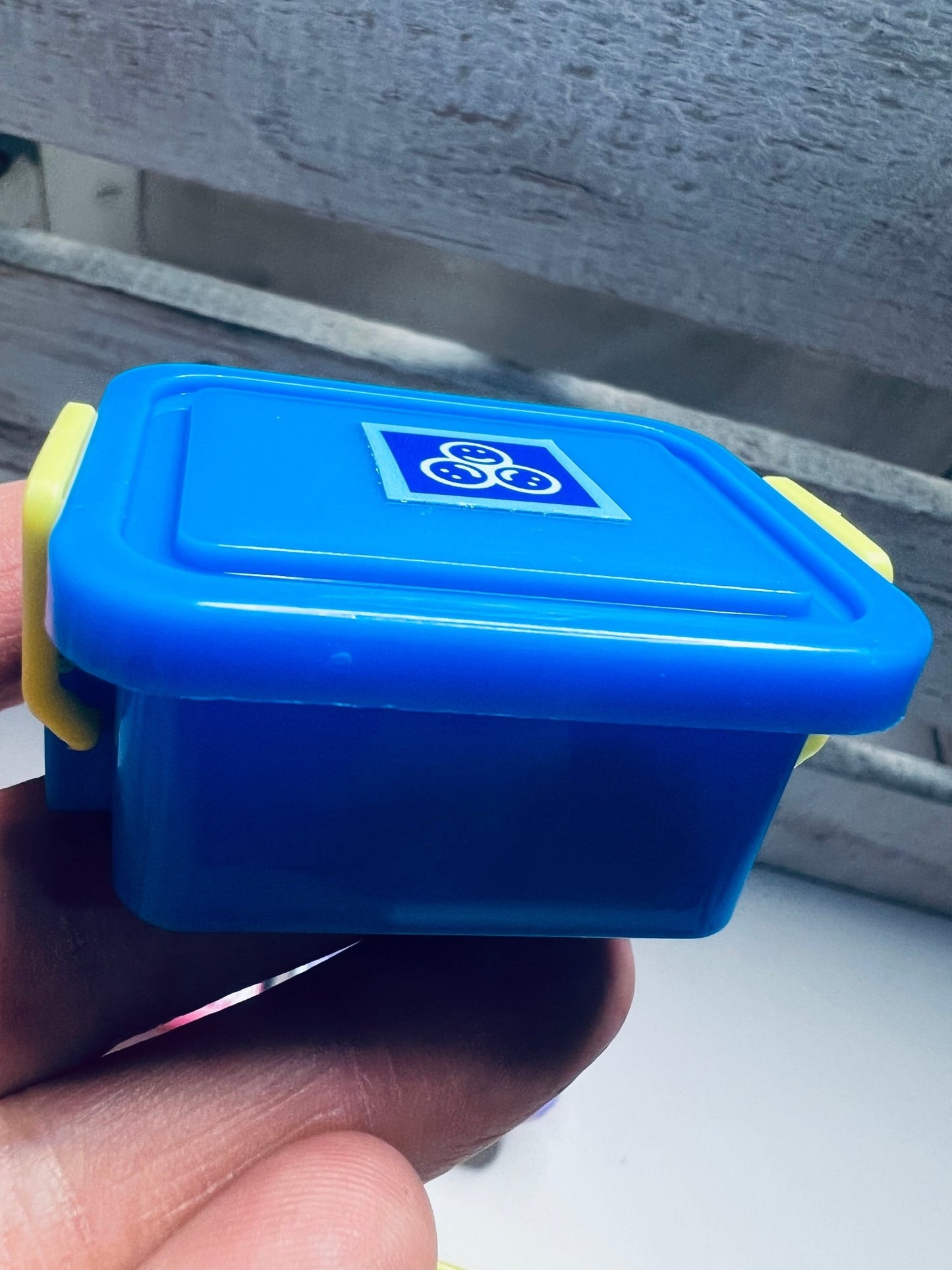 Miniature Lunch Box with Food Minis - Speech and Smile