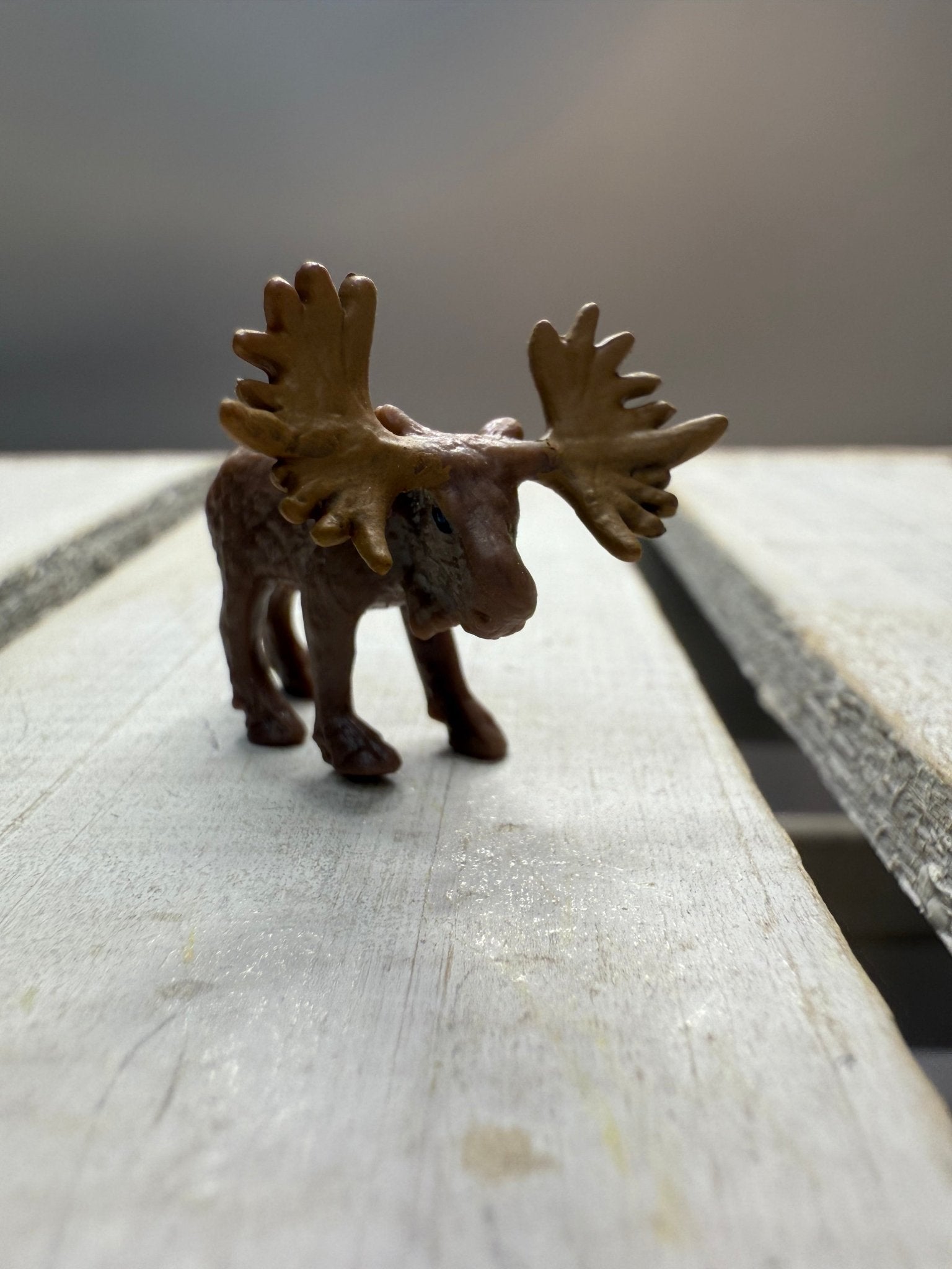 Miniature Moose Figurine – Tiny Animal for Dollhouse, Fairy Garden, Terrarium, Diorama, Safari Zoo Decor, Forest Minis - Speech and Smile