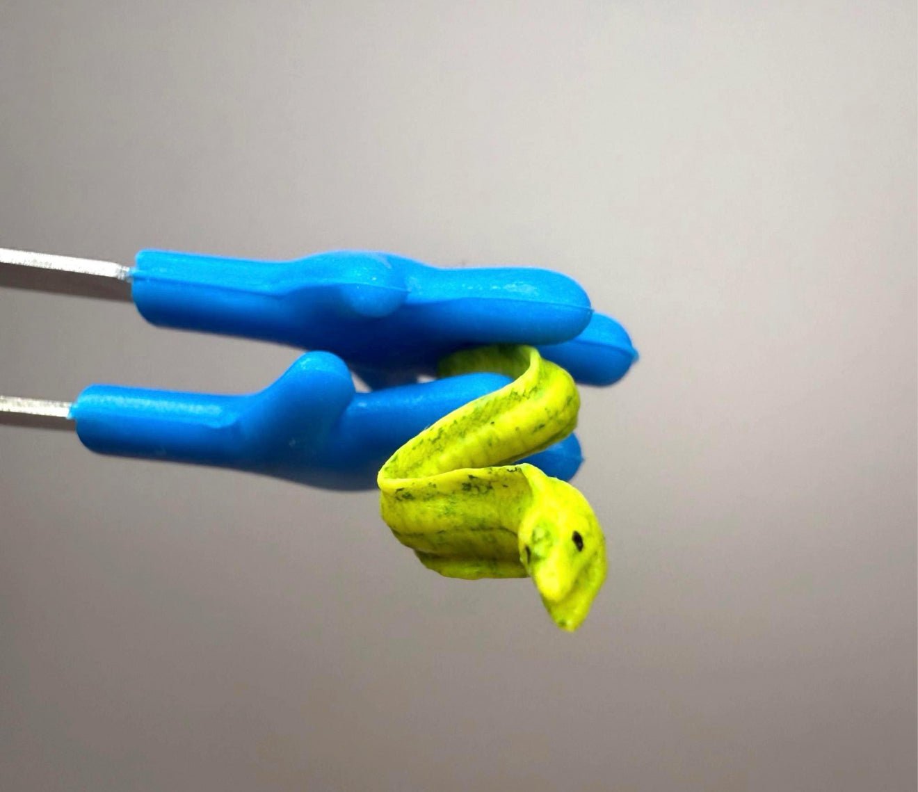 Miniature MORAY EEL Figurine Say and Play Mini Objects for Speech Therapy OCEAN Minis Tiny Animal for Dollhouse, Fairy Garden, Terrarium - Speech and Smile