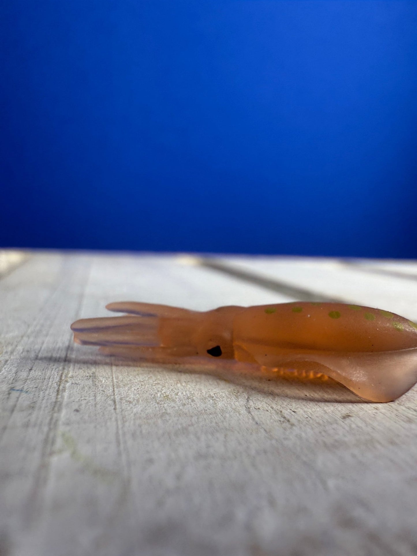Miniature SQUID Figurine OCEAN minis Fairy Garden, Terrarium, Diorama, Trinkets for S blends - Speech and Smile