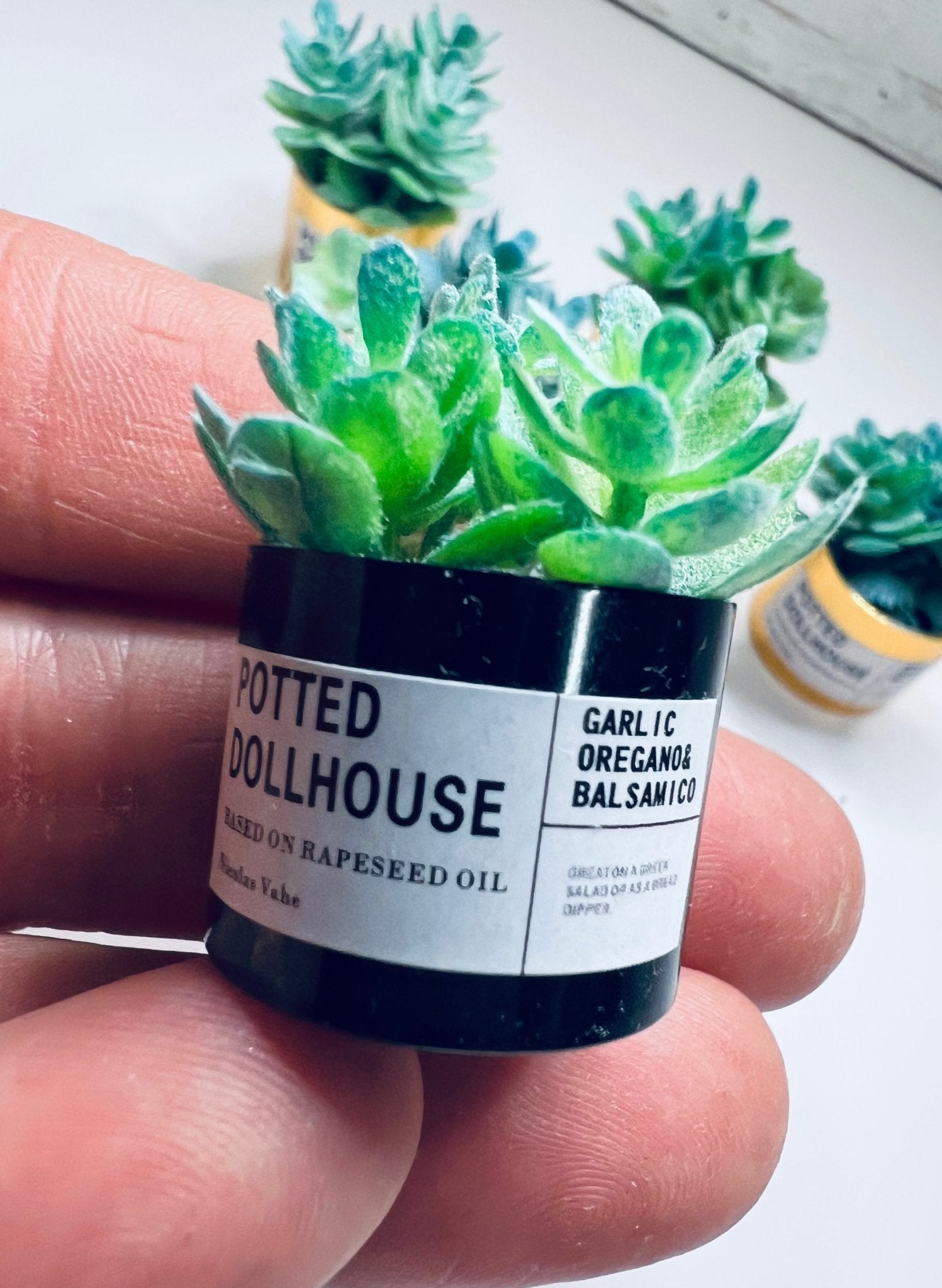 Miniature Succulent Trinket Dollhouse Plant Mini Objects Speech Therapy - Speech and Smile