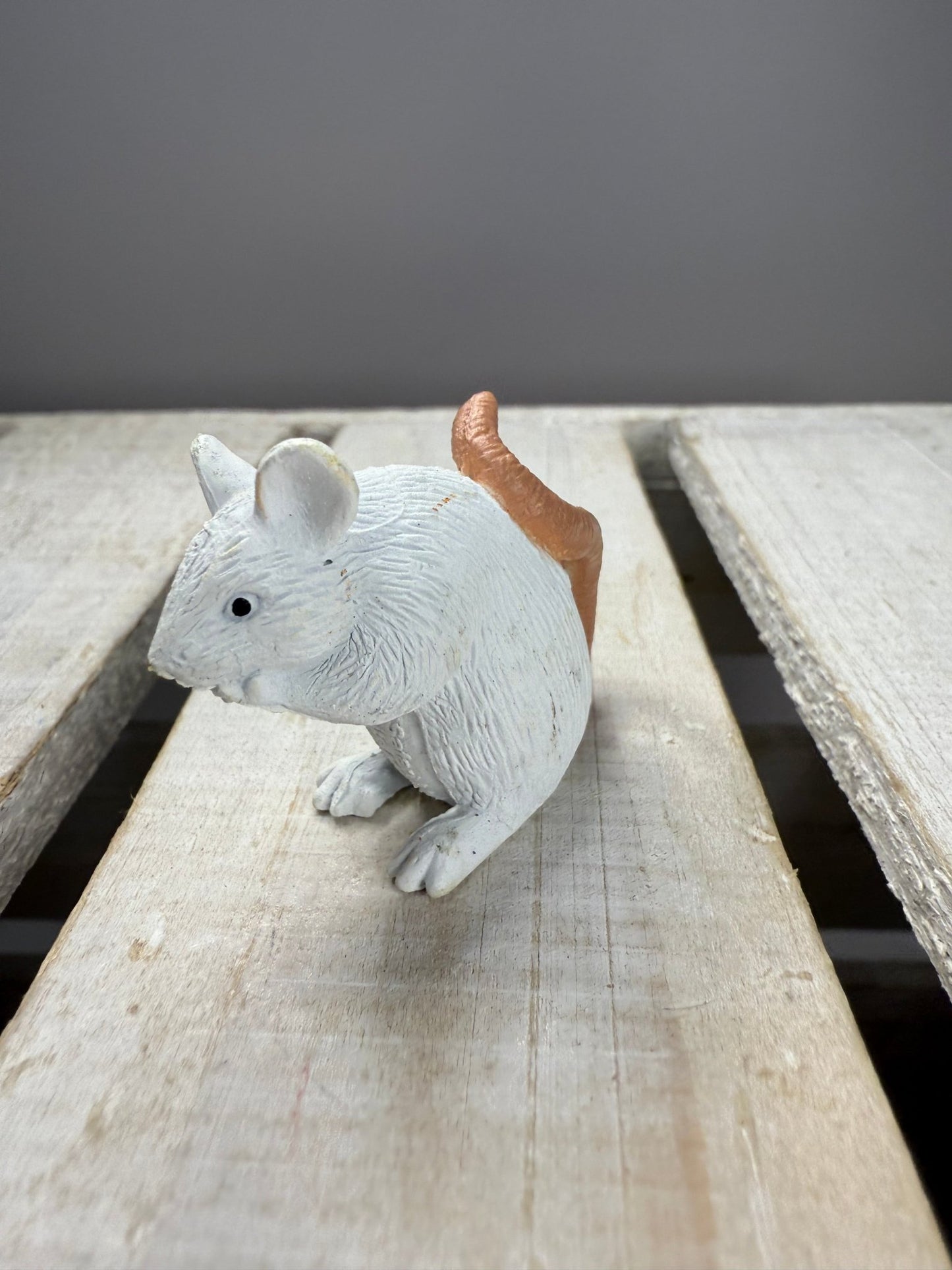 Pick a Pet Mini Objects Miniature Pet Figurines Safari LTD Realistic Mini Figures - Speech and Smile