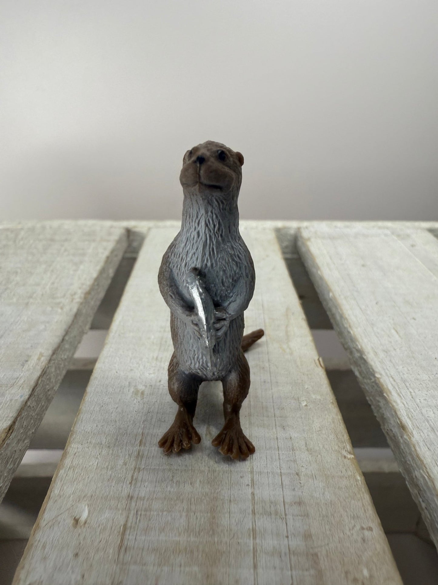 Pick a River Creature Figurines Mini Objects Realistic River Animal Figures Trinkets River Habitat Minis - Speech and Smile