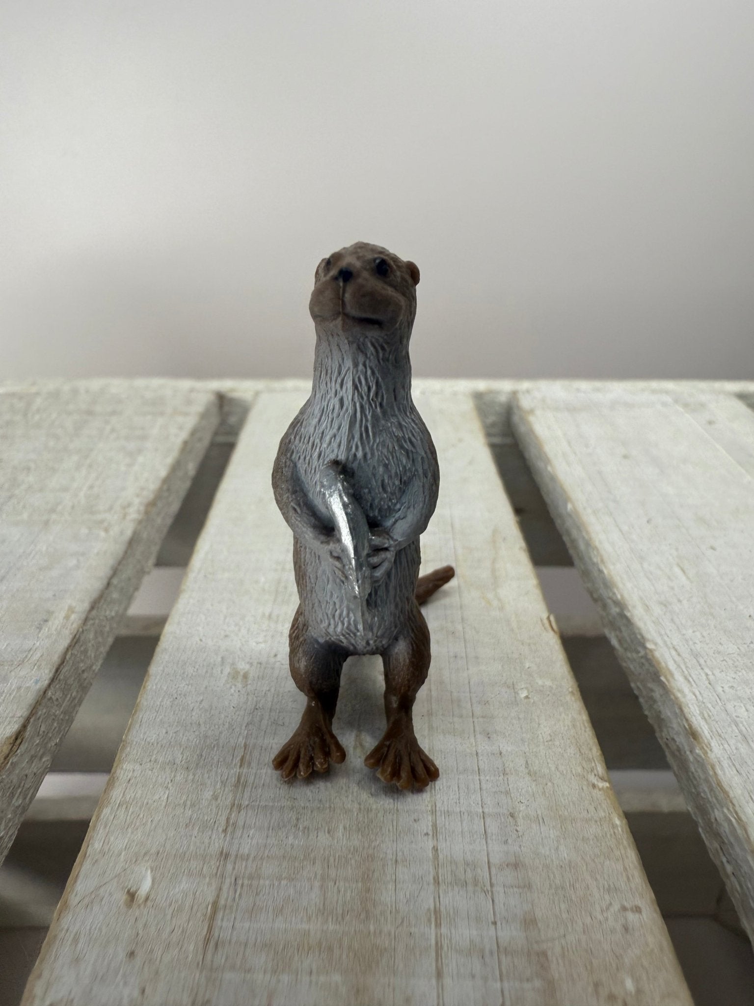 Pick a River Creature Figurines Mini Objects Realistic River Animal Figures Trinkets River Habitat Minis - Speech and Smile