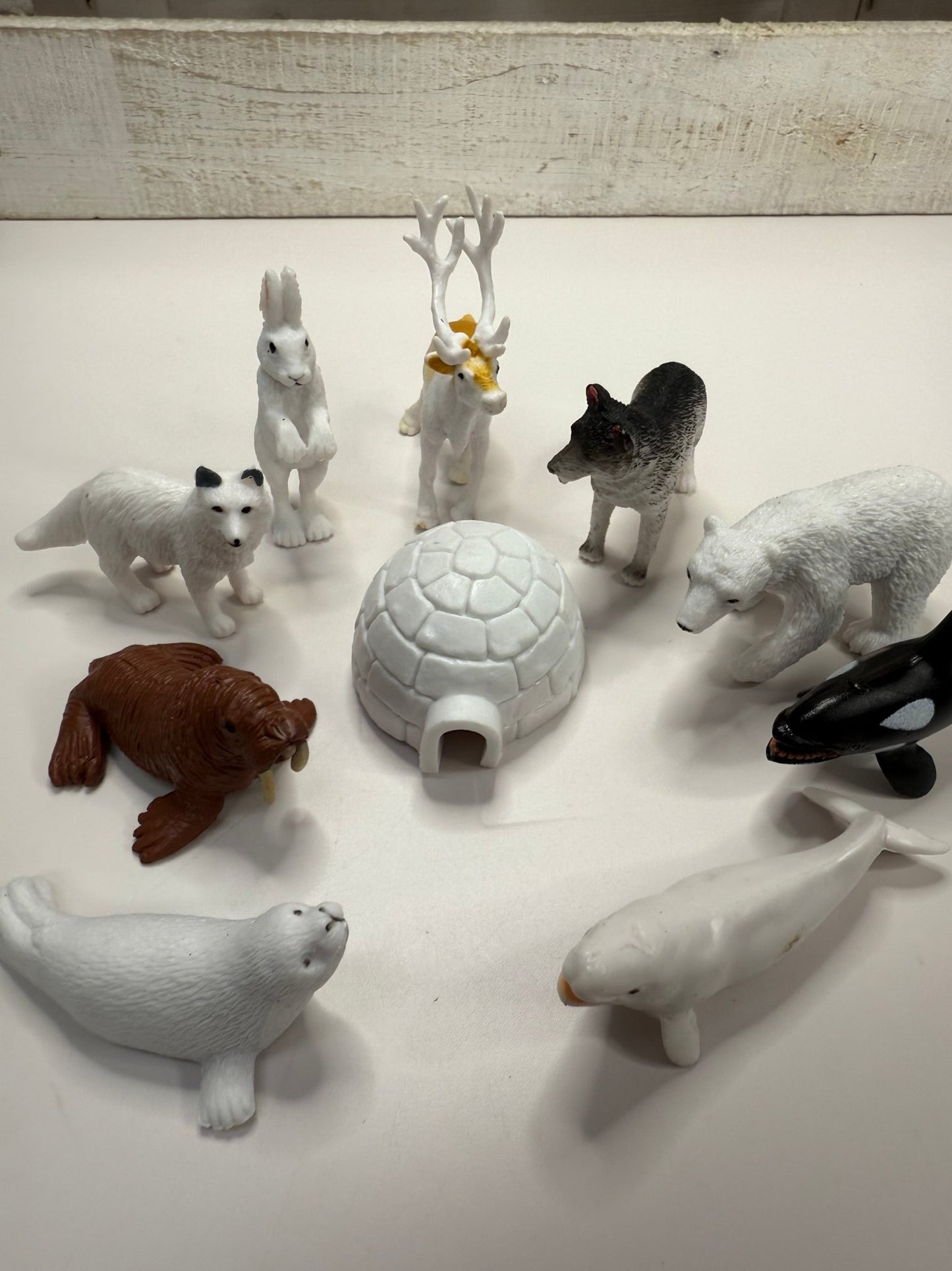 Pick an ARCTIC Animal Mini Objects Miniature Arctic Figurines Realistic Minis for Speech Therapy Alphabet Sound Box - Speech and Smile
