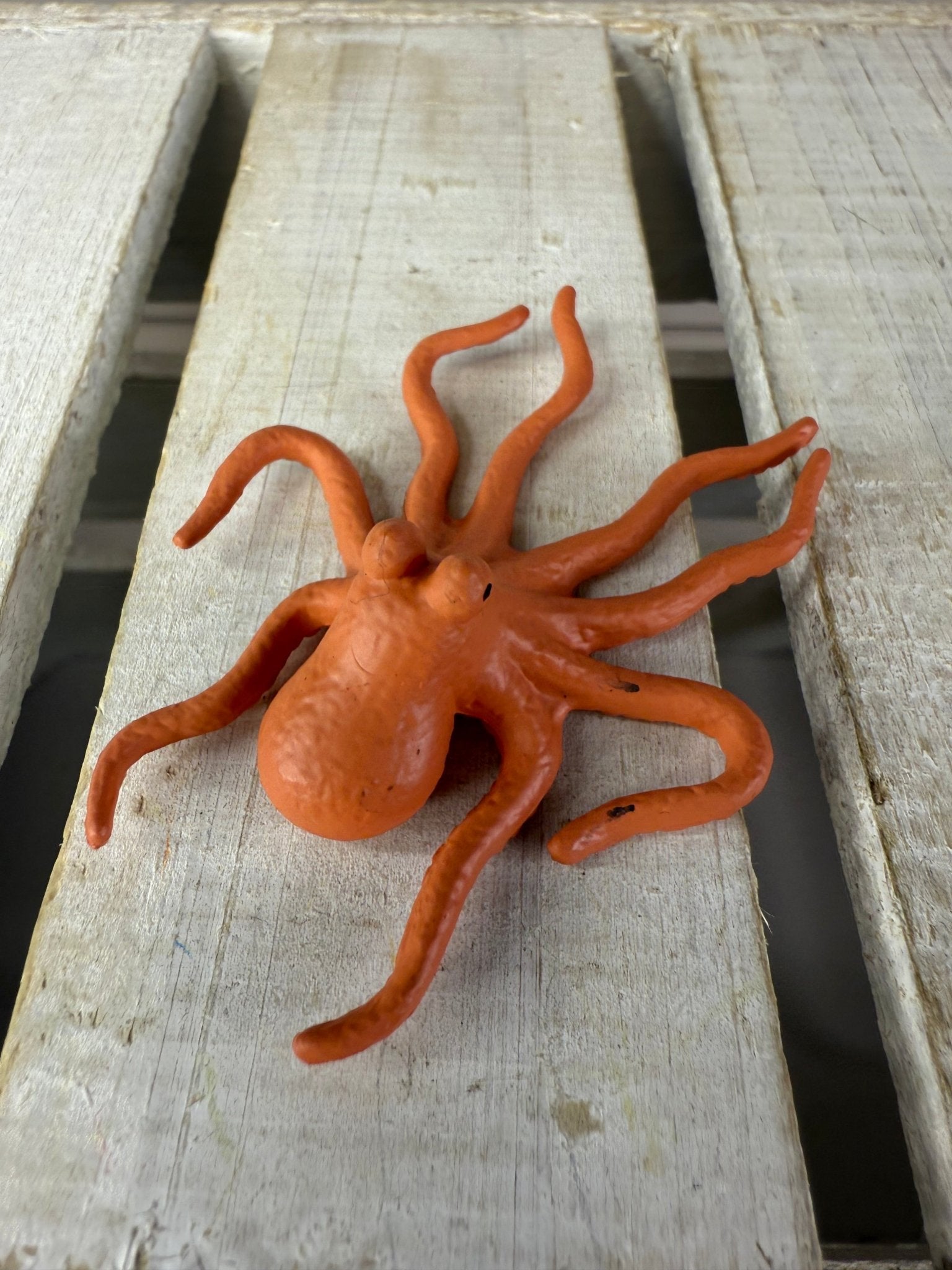 Pick an OCEAN Figurines Mini Objects Realistic Ocean Minis Speech Therapy Montessori Sound Objects Ocean Theme Trinkets Doodads Miniatures - Speech and Smile