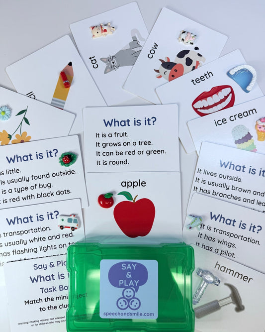 Question Task Box for Speech Therapy - What Is It Game with Mini Objects - Speech and Smile