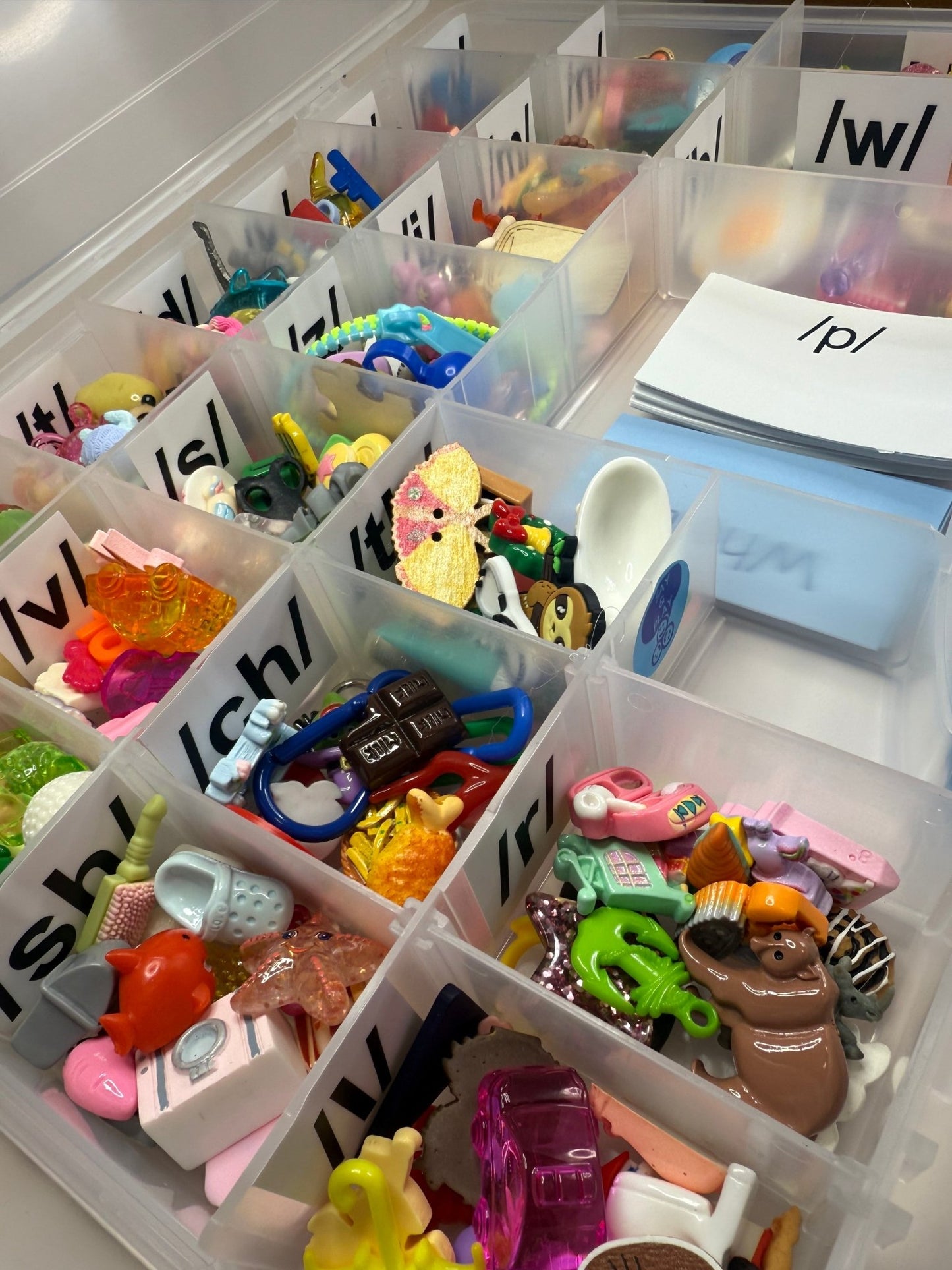 Say & Play Mini Objects Speech Therapy Kit – 300+ Articulation Trinkets, Phonics, Question Cards & Letter Sound Mats SLP Tools - Speech and Smile