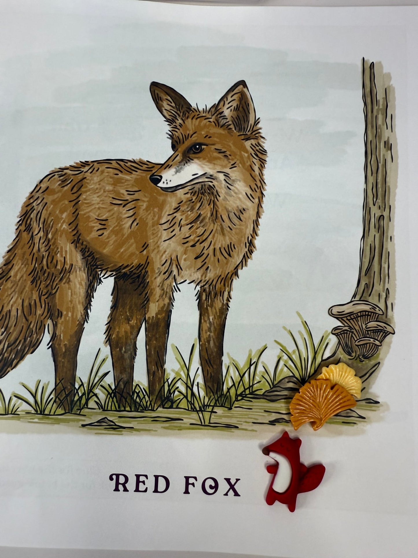 Say & Play Mini Objects Story Kit WITH BOOK Walking on a Trail Story Kit Nature and Animal Mini Objects Kinetic Sand Sensory Play Kit - Speech and Smile