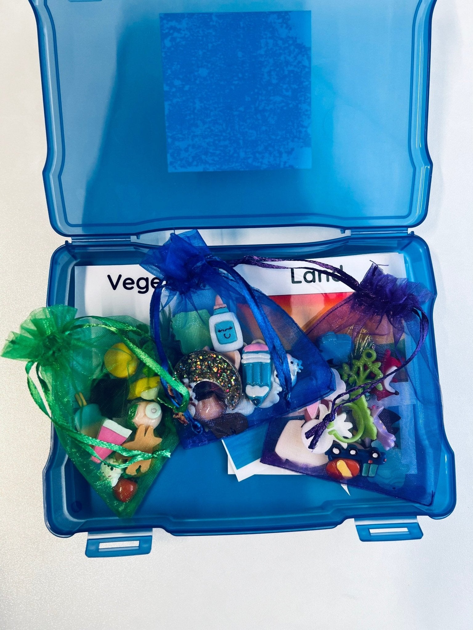 Sorting Kit - Sorting Objects - Preschool Sorting Task Box - Speech Therapy Mini Objects Miniature Trinkets for Categoriies - Doodads - Speech and Smile