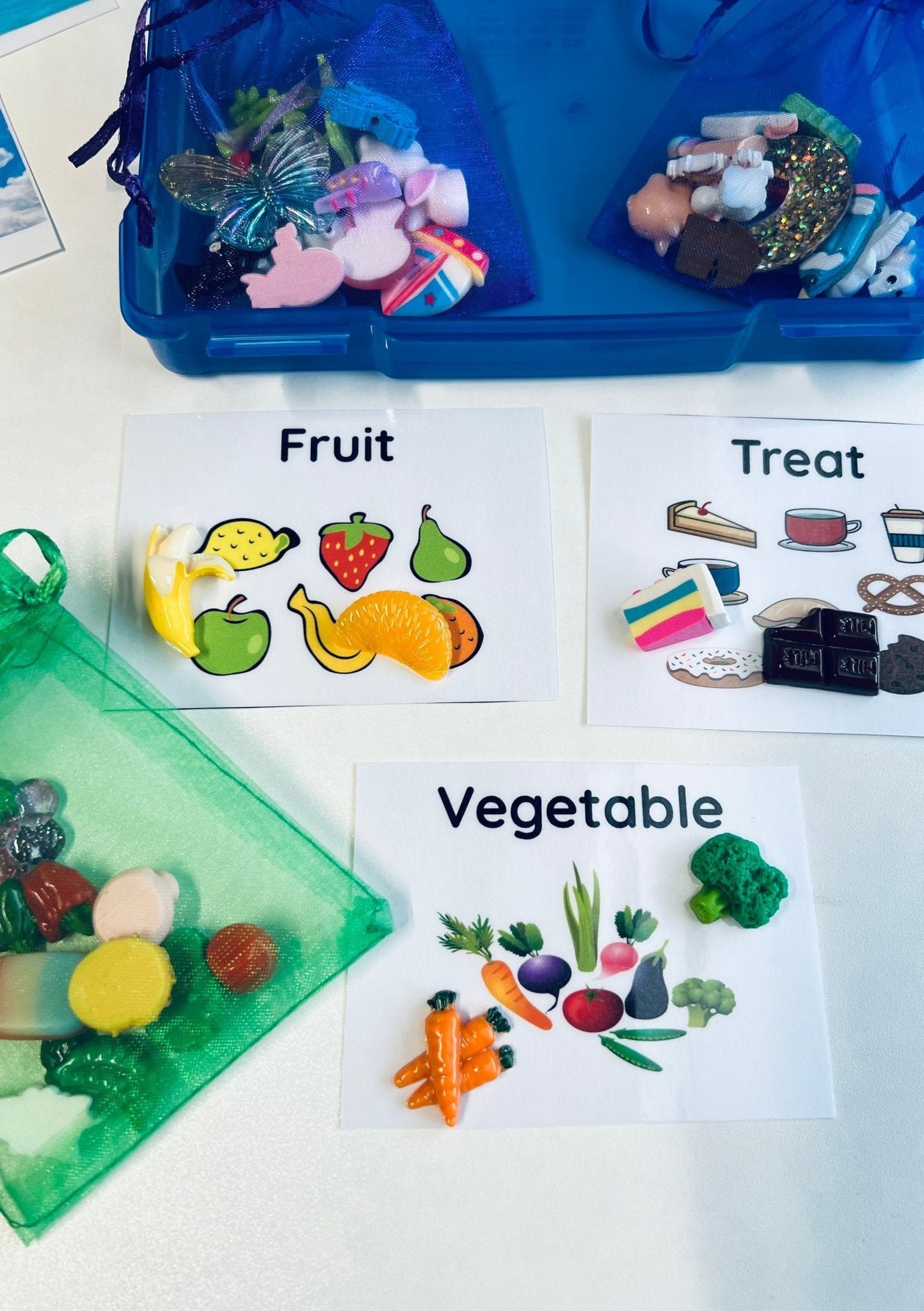 Sorting Kit - Sorting Objects-Preschool Sorting Task Box - Speech Ther ...