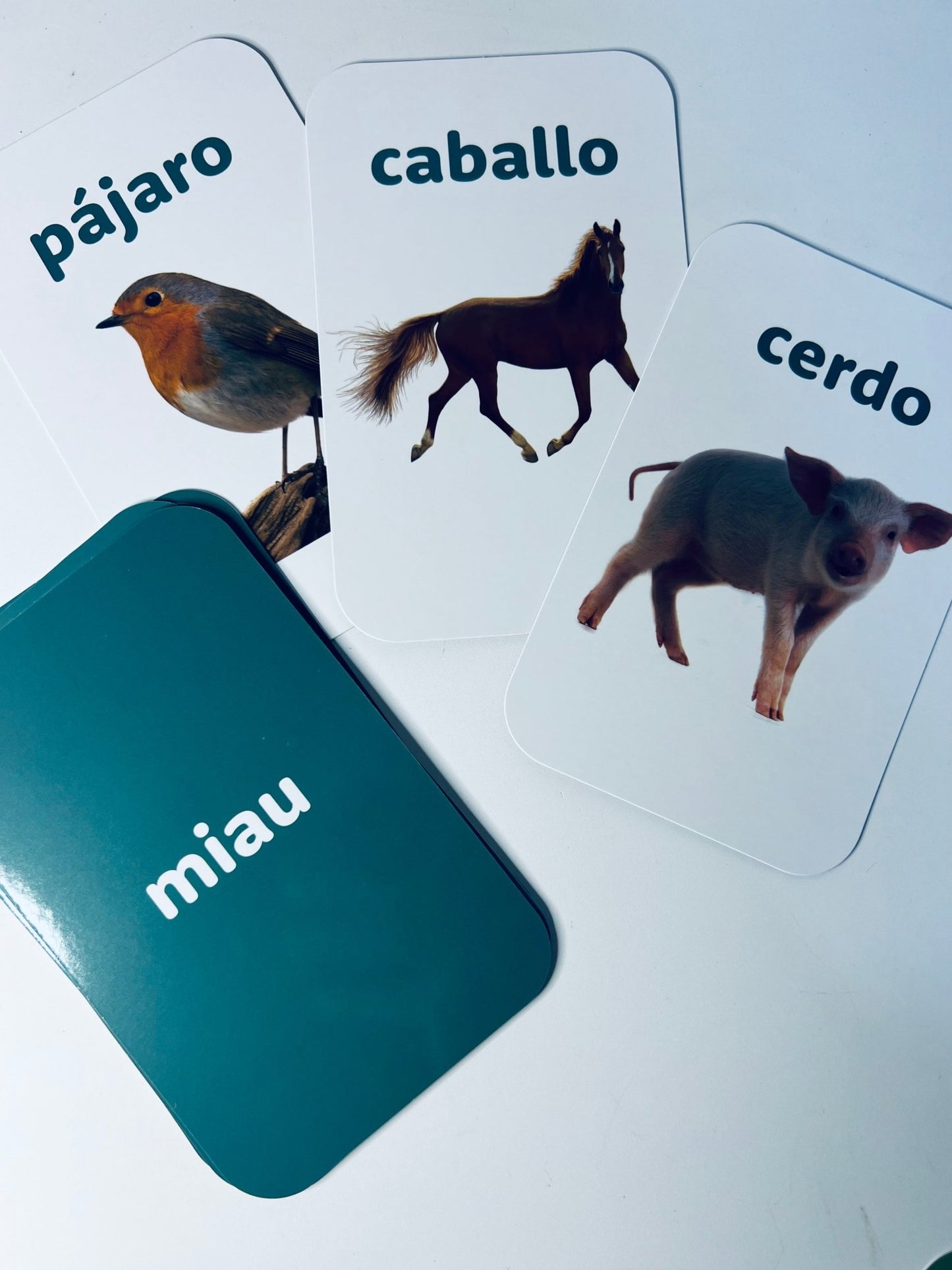 Spanish Flashcards - Learn Spanish - Speech and Smile