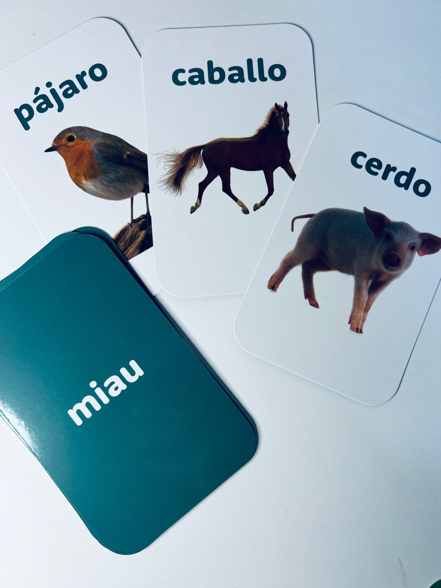 Spanish Flashcards - Learn Spanish - Speech and Smile