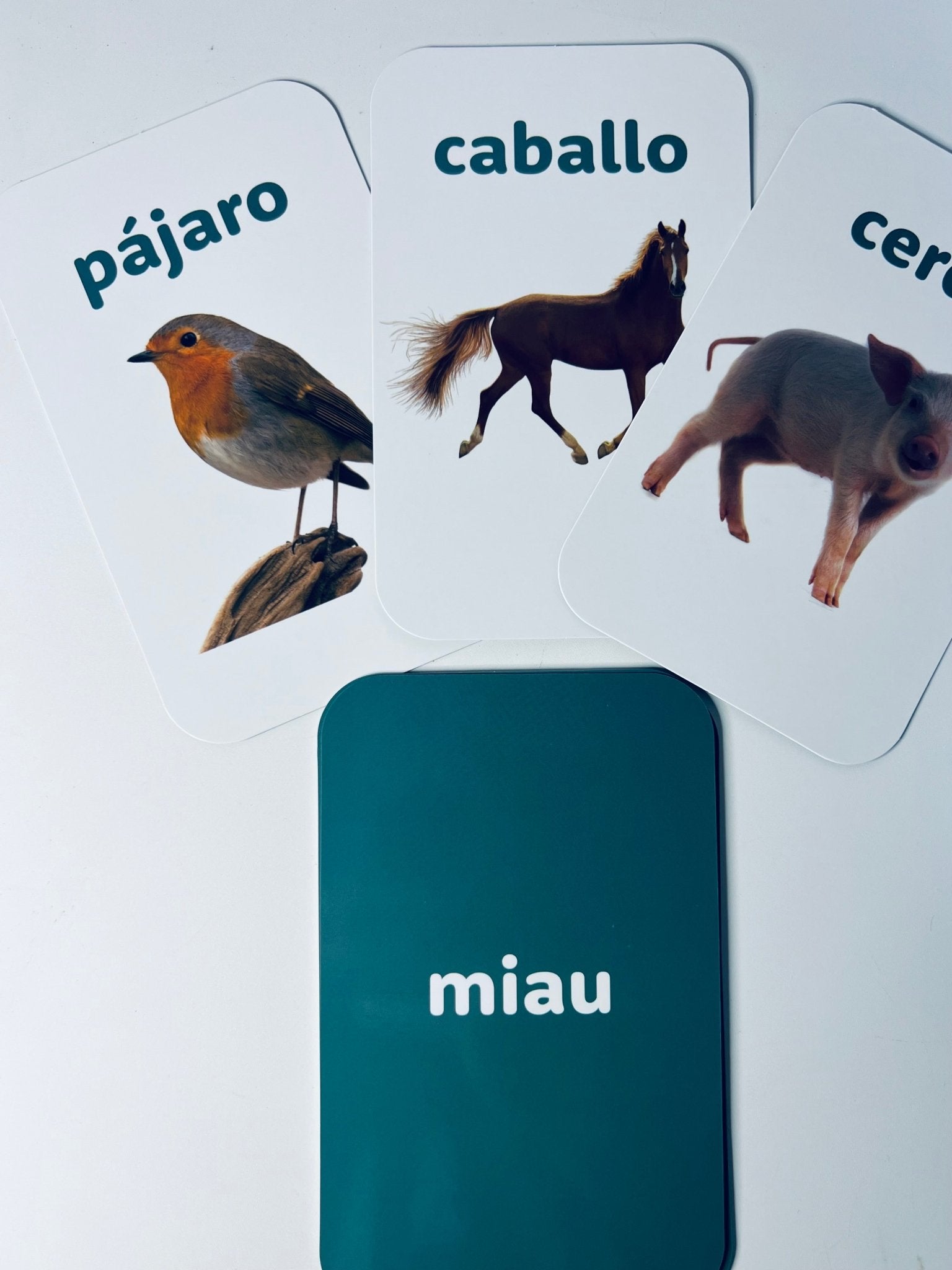 Spanish Flashcards - Learn Spanish - Speech and Smile