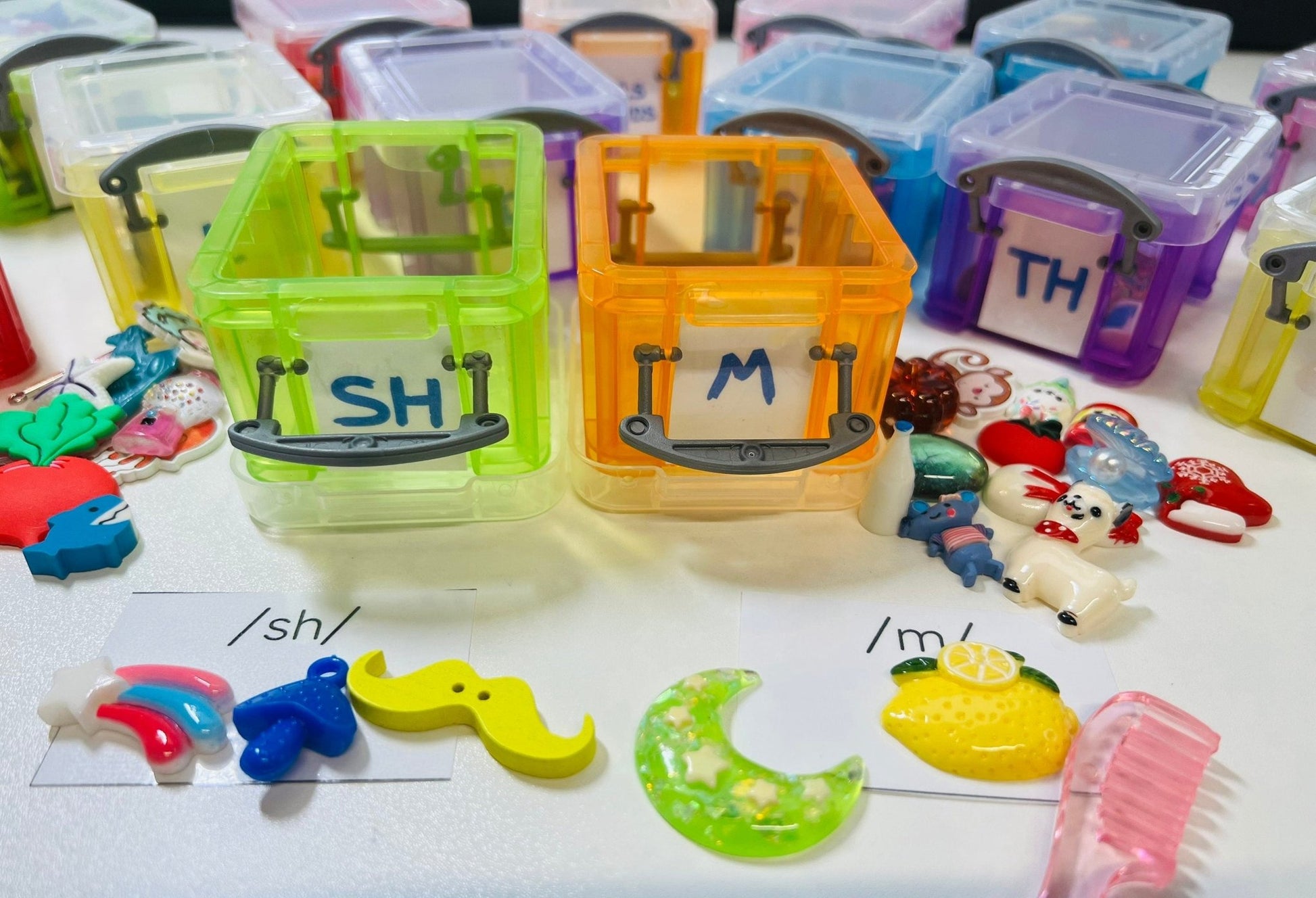 Speech Sound Mini Object Boxes - INDIVIDUAL Boxes Trinkets for Articulation - Speech Therapy Trinkets - Speech Sound Objects - Montessori Miniatures - Speech and Smile