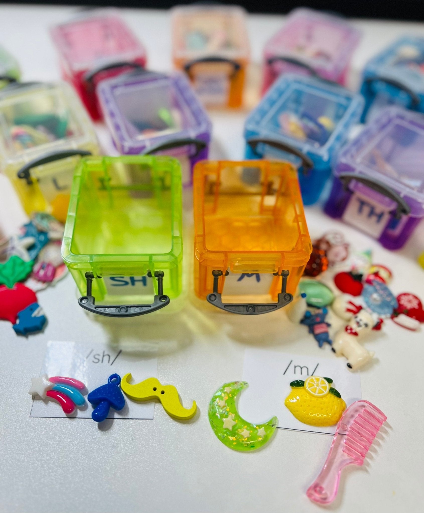 Speech Sound Mini Object Boxes - INDIVIDUAL Boxes Trinkets for Articulation - Speech Therapy Trinkets - Speech Sound Objects - Montessori Miniatures - Speech and Smile