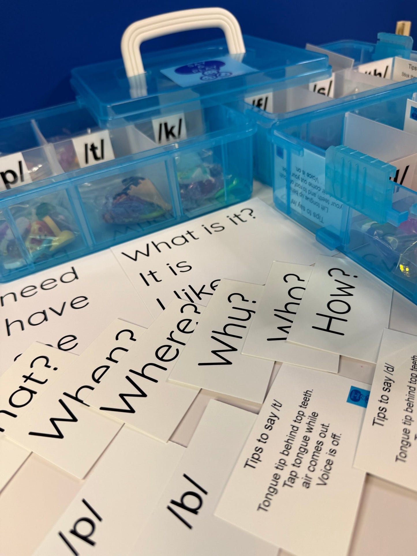 Speech Therapy Mini Objects Set – 300+ Articulation Trinkets with Sound Cards in Portable Case | Say & Play Mini Objects™ Kit for Speech Sounds - Speech and Smile