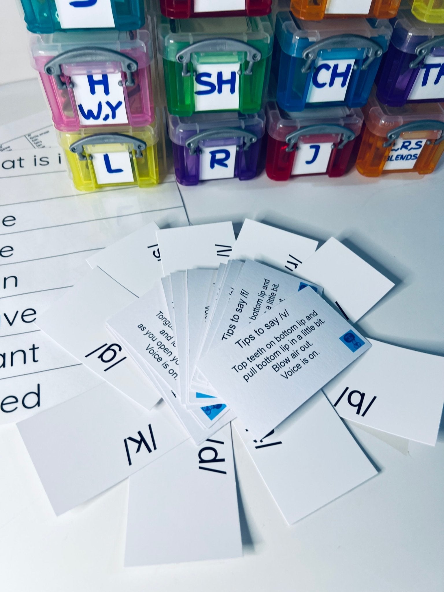 Speech Therapy Mini Objects Set ALL SOUNDS Articulation Trinkets in Organizer - Speech and Smile