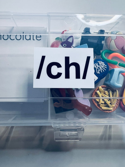 Speech Therapy Trinkets for /ch/ sound Say and Play Mini Objects Kit Articulation Mini Objects Speech Therapy Kit - Speech and Smile