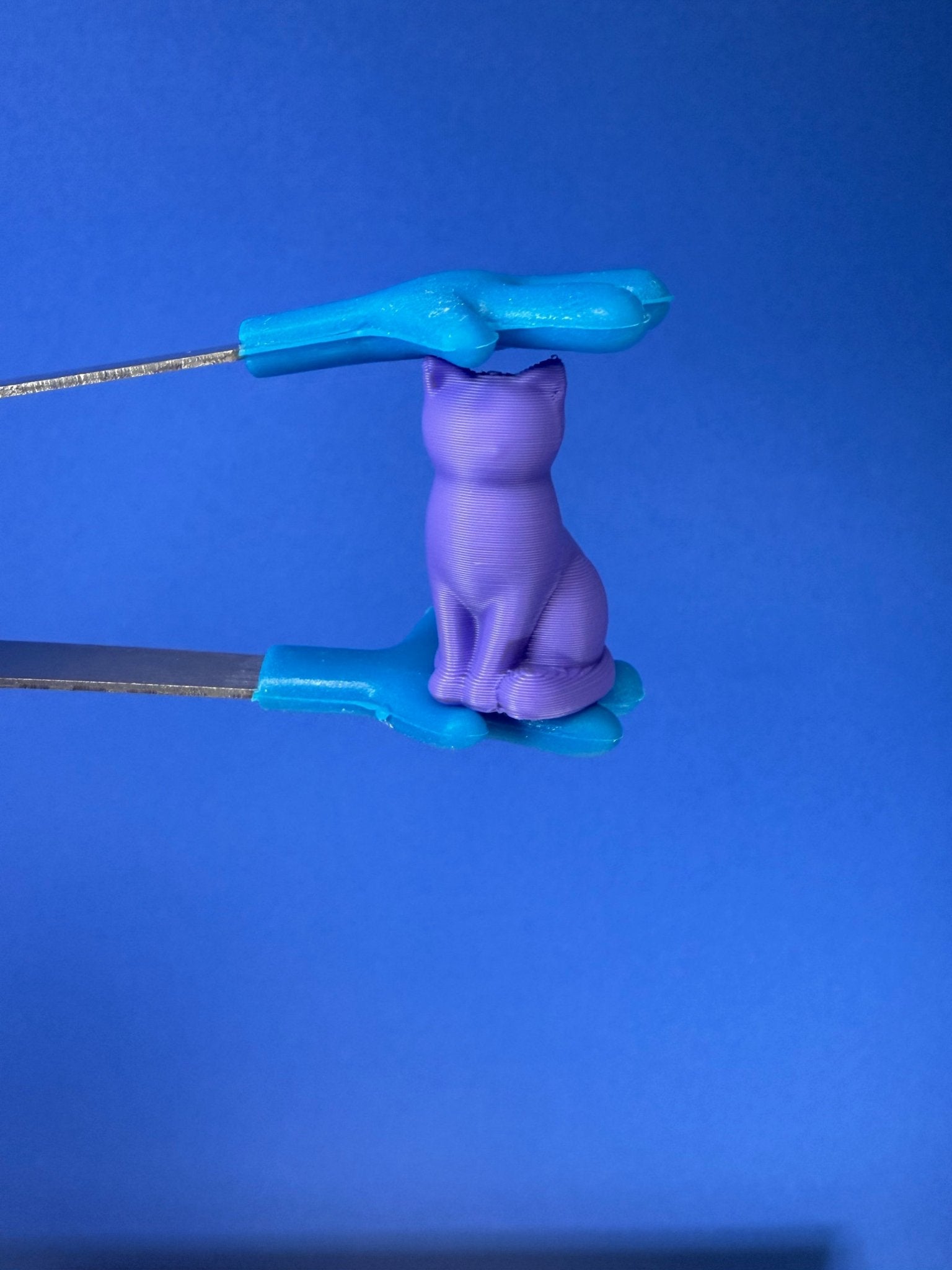 Talkets™ Mini Object CAT - Vocabulary & Language Play Miniature - Speech and Smile