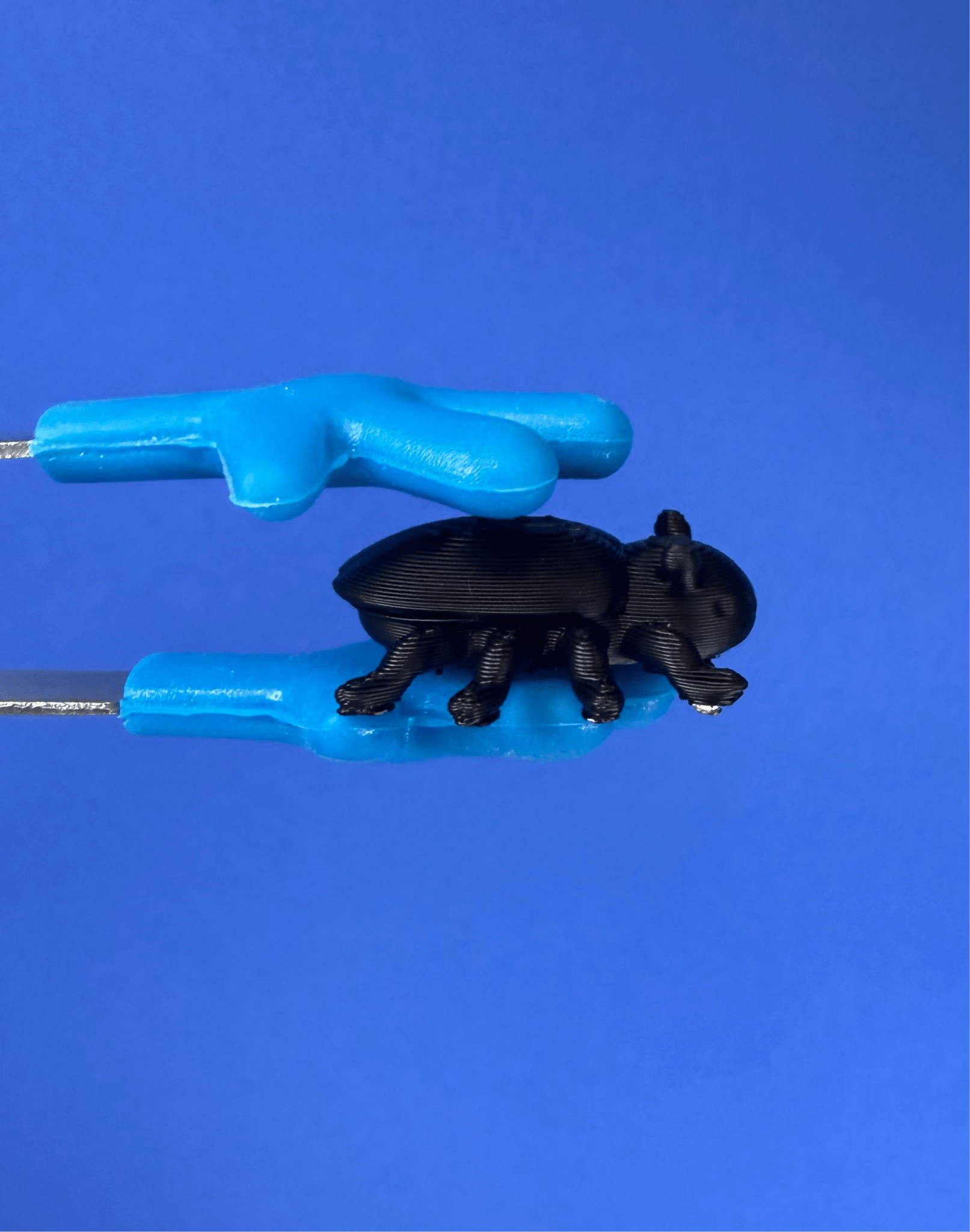 Talkets™ Mini Object INSECT - Vocabulary & Language Play Miniature - Speech and Smile