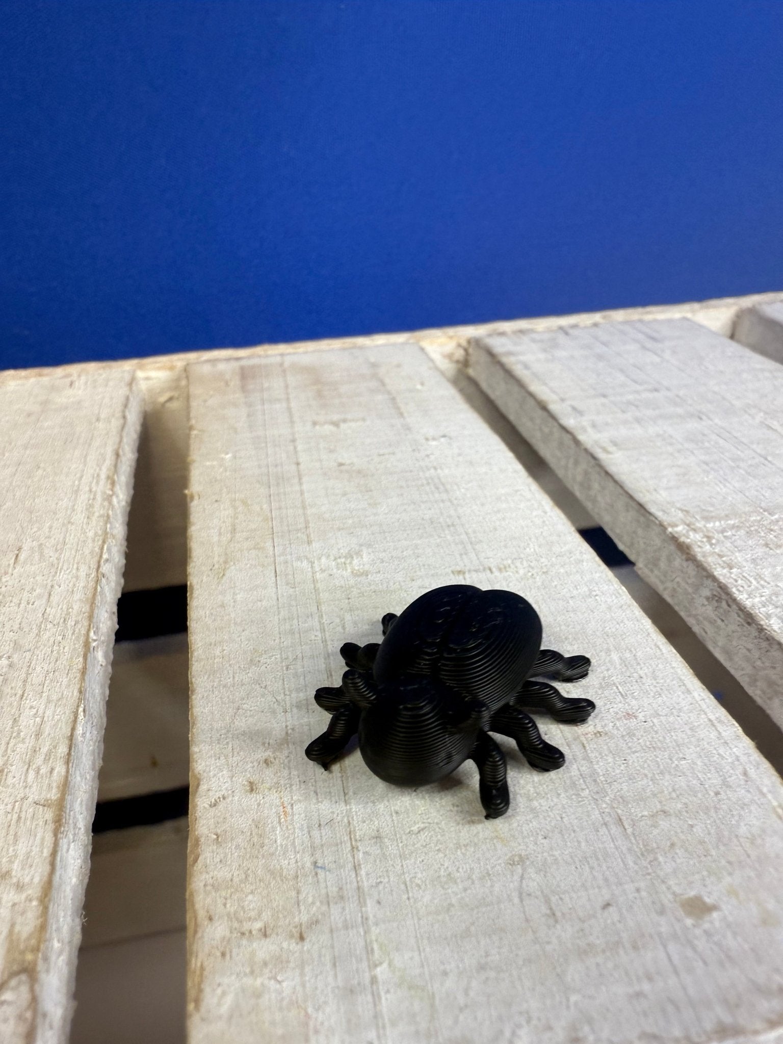 Talkets™ Mini Object INSECT - Vocabulary & Language Play Miniature - Speech and Smile