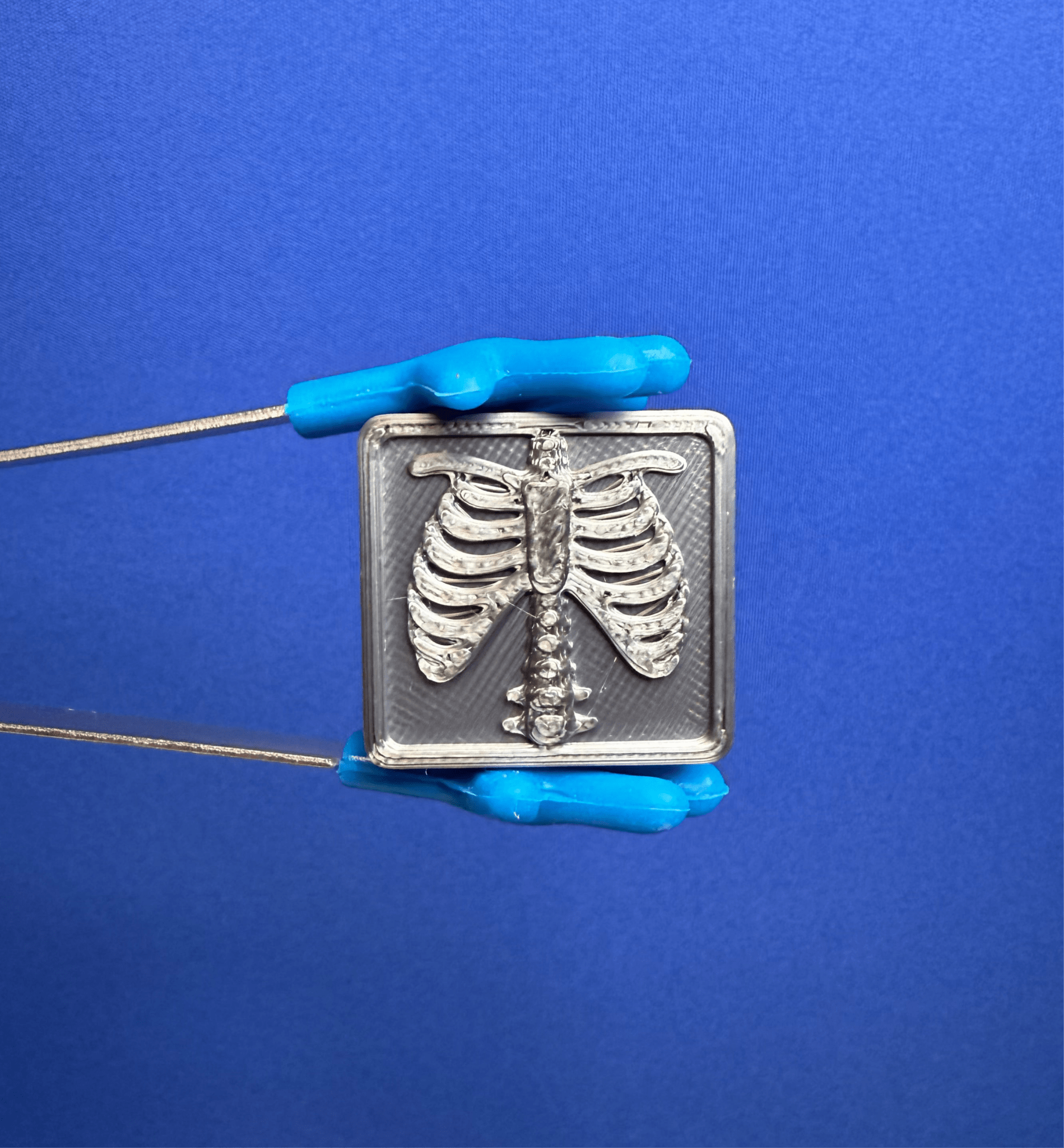 Mini X ray – Letter x Mini Object for Speech Therapy & Language Activi ...