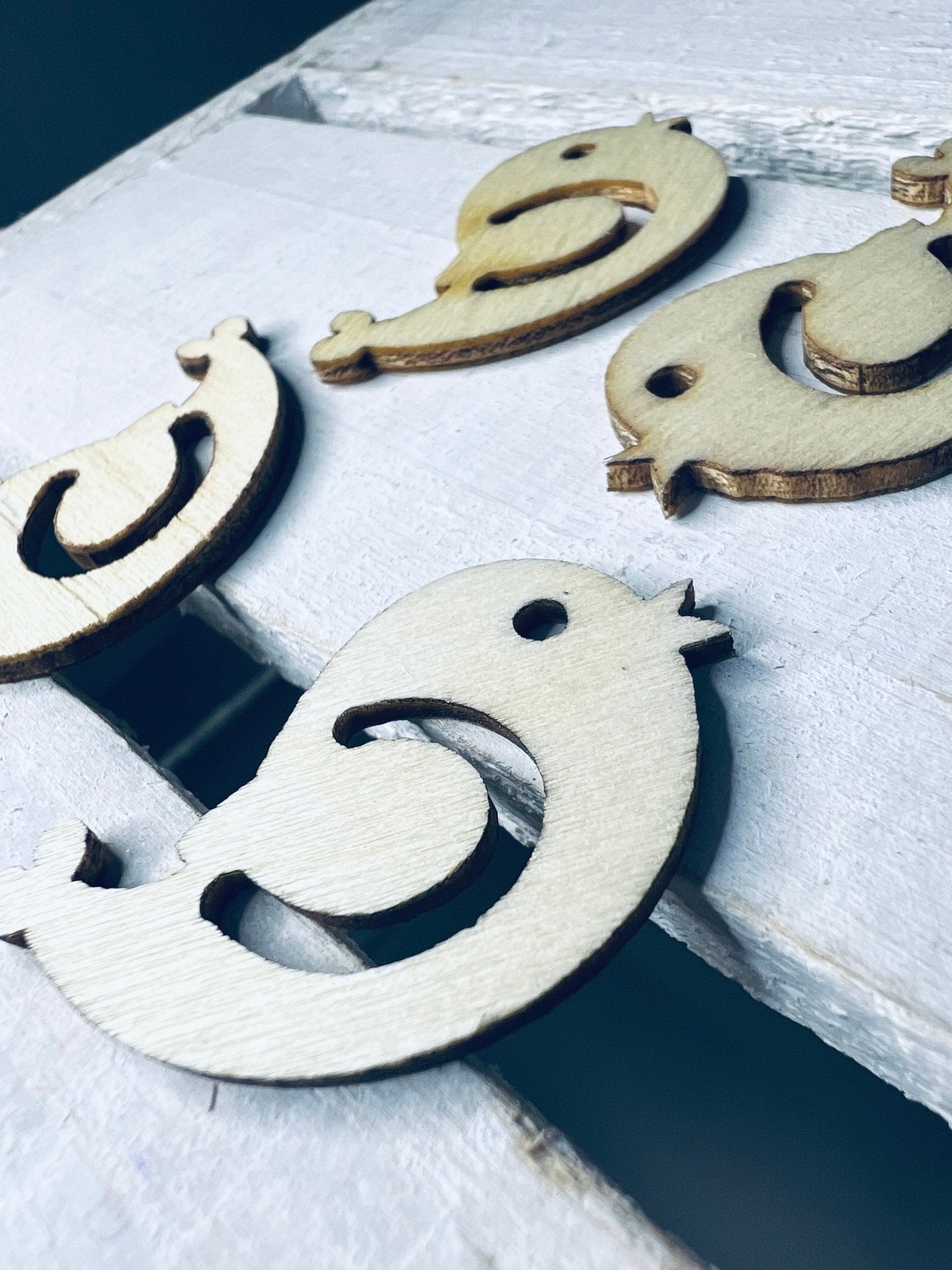 Wood Cut BIRD Object Nature Trinkets Speech Therapy Mini Objects Doodads Speech Sound Objects Woodland Cut Outs Wood Cut Shapes - Speech and Smile